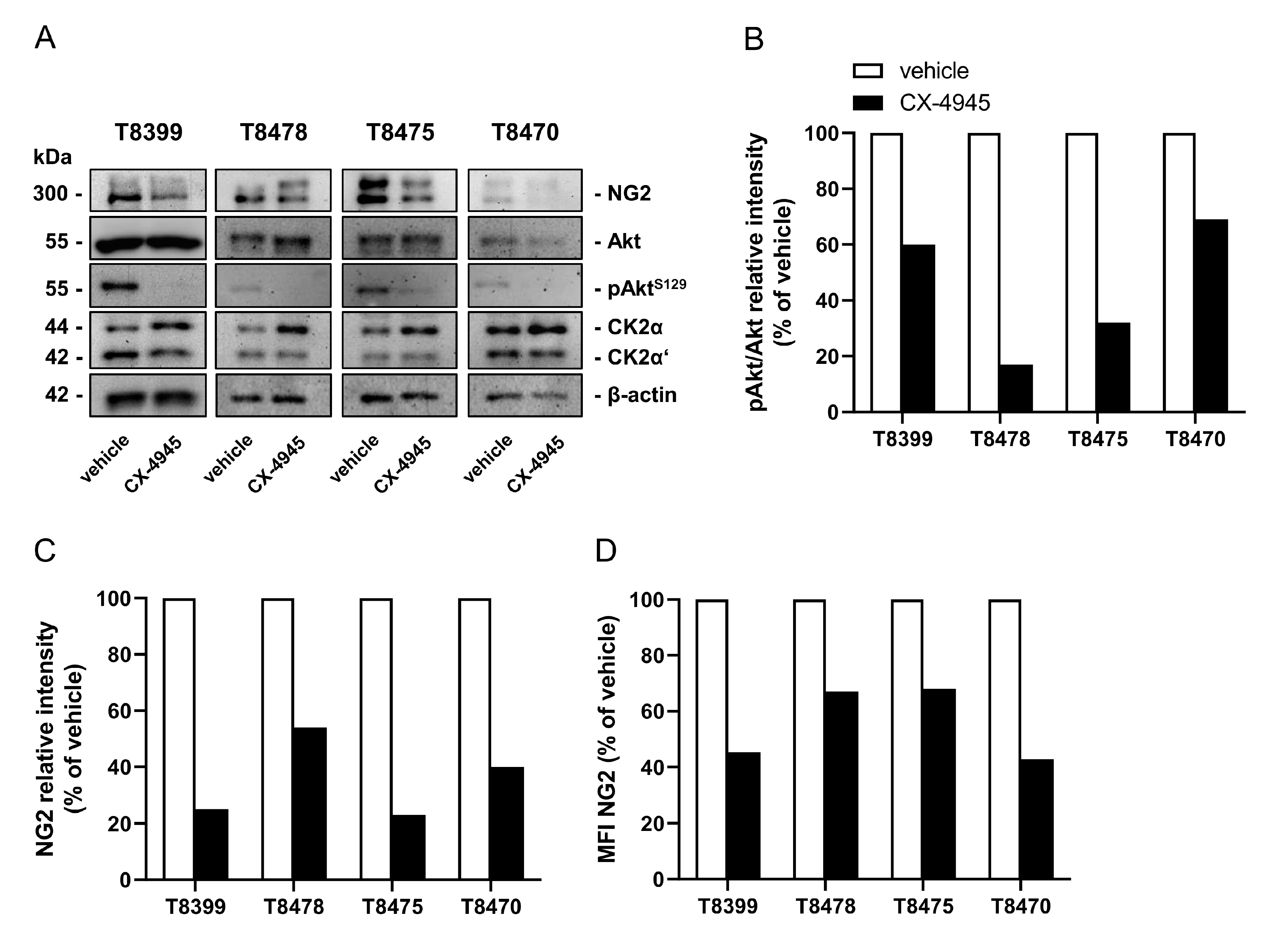 Cancers 13 01678 g006