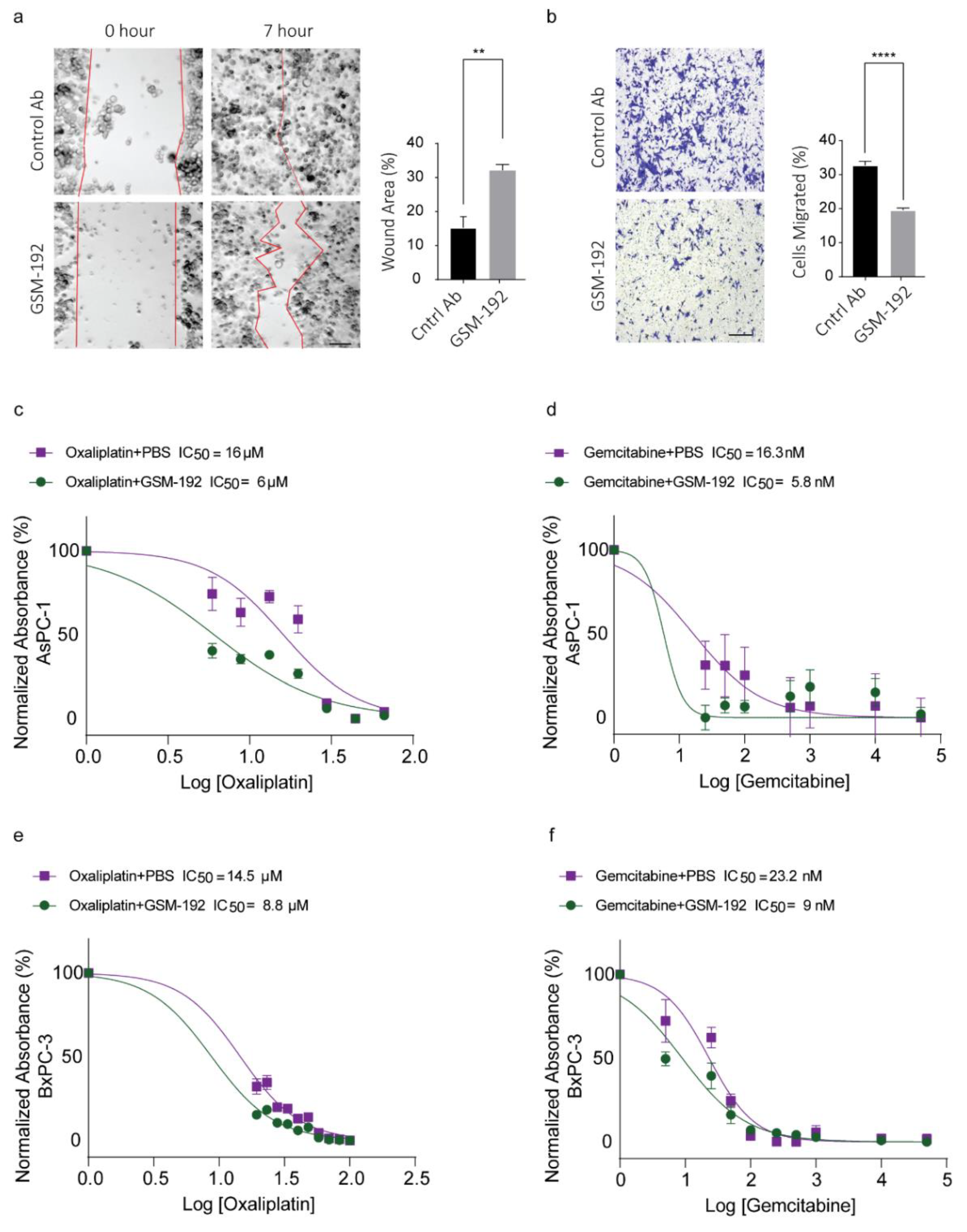 Cancers 13 01679 g004 Cancers 13 01679 g004