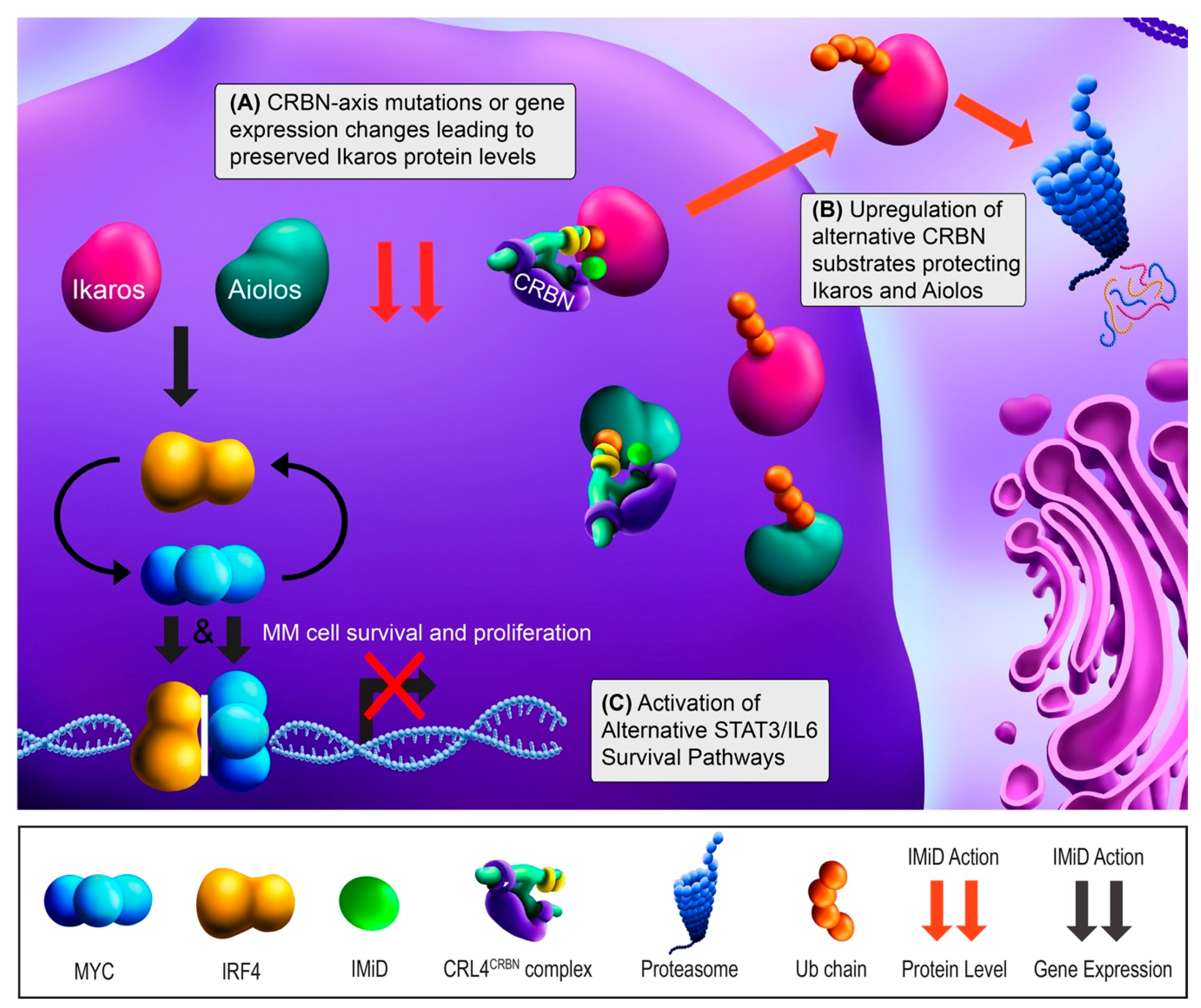 Cancers 13 01686 g001 Cancers 13 01686 g001