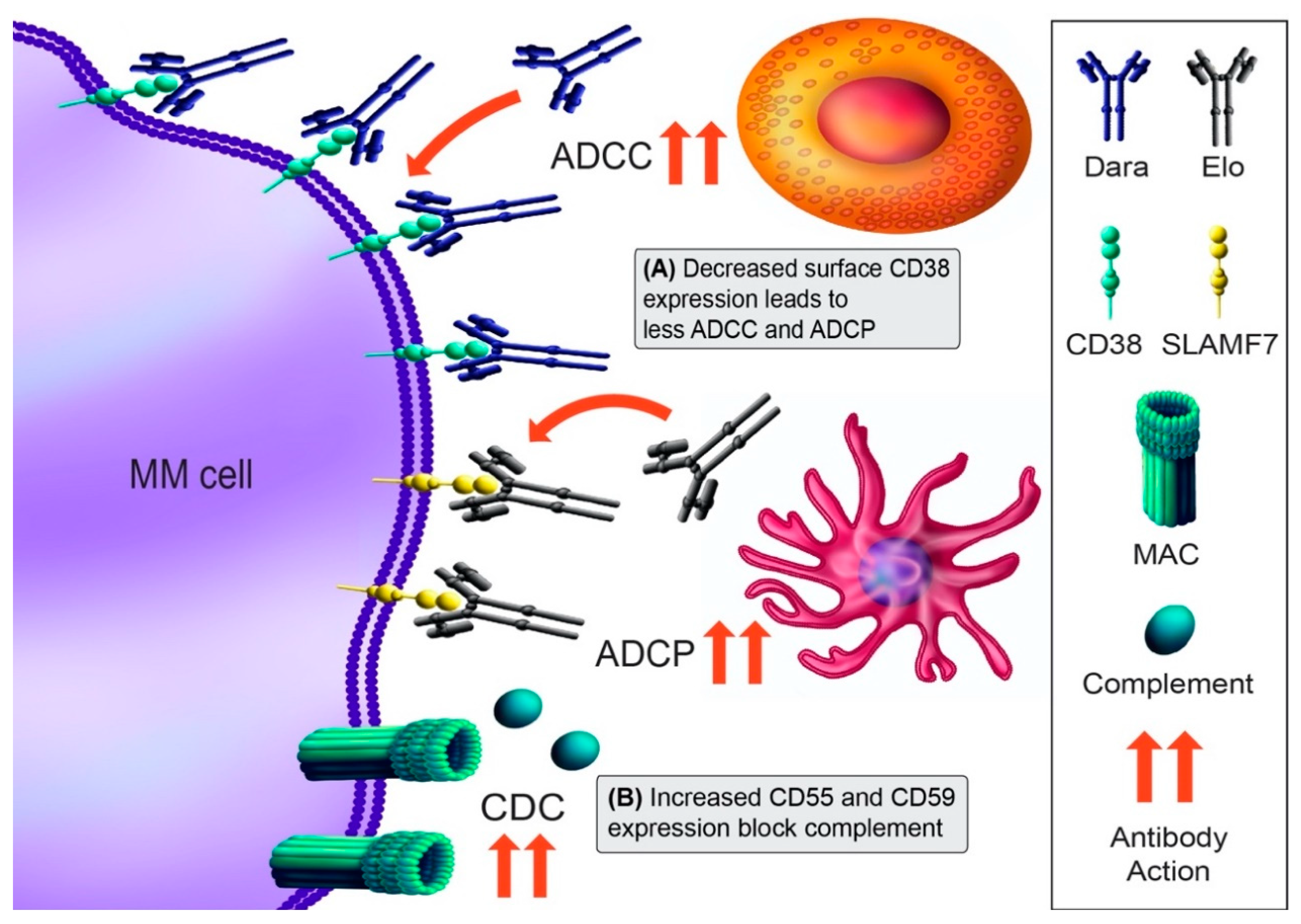 Cancers 13 01686 g003 Cancers 13 01686 g003