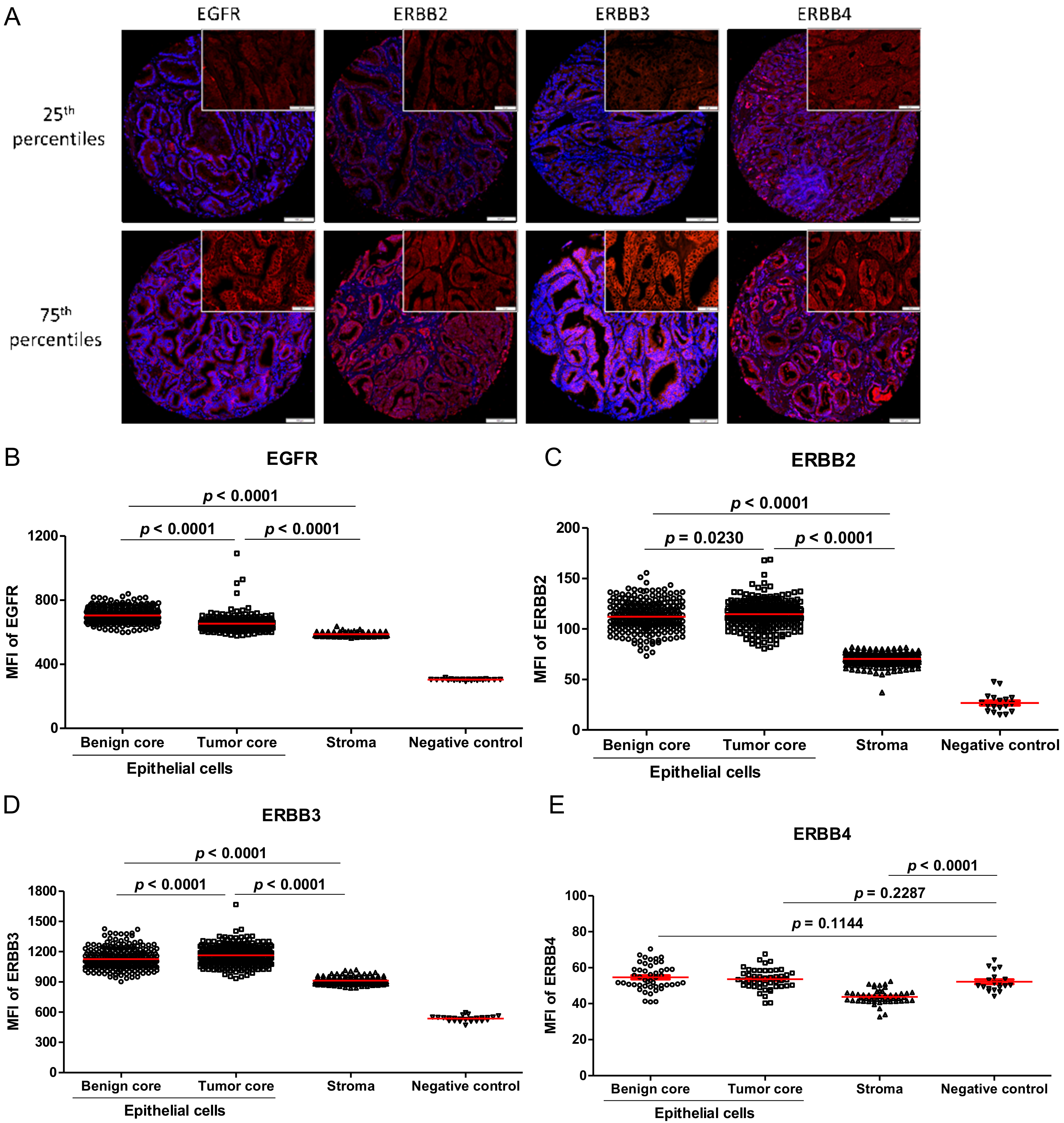 Cancers 13 01688 g001 Cancers 13 01688 g001