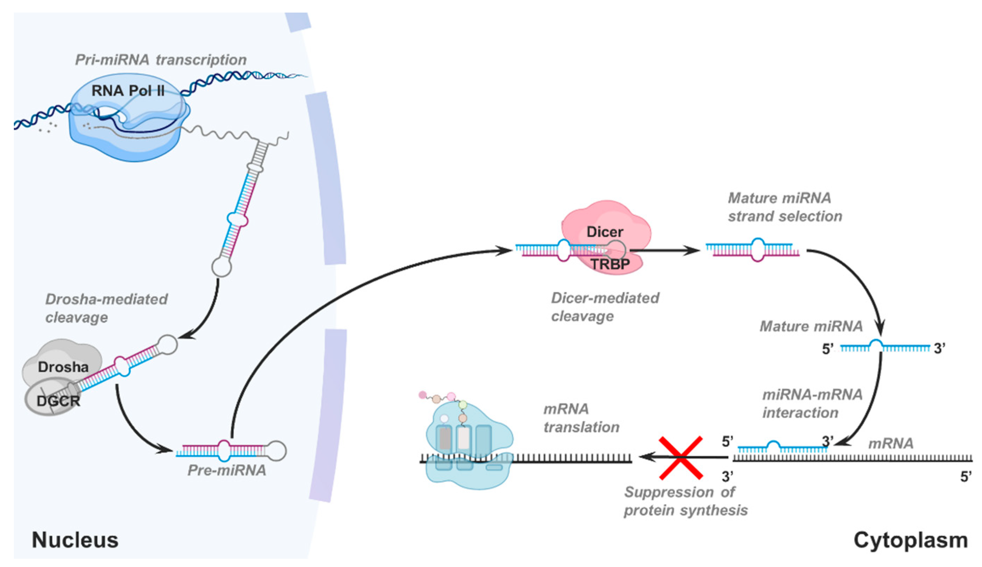 Cancers Free Full Text Detecting And Characterizing A To I Microrna Editing In Cancer Html