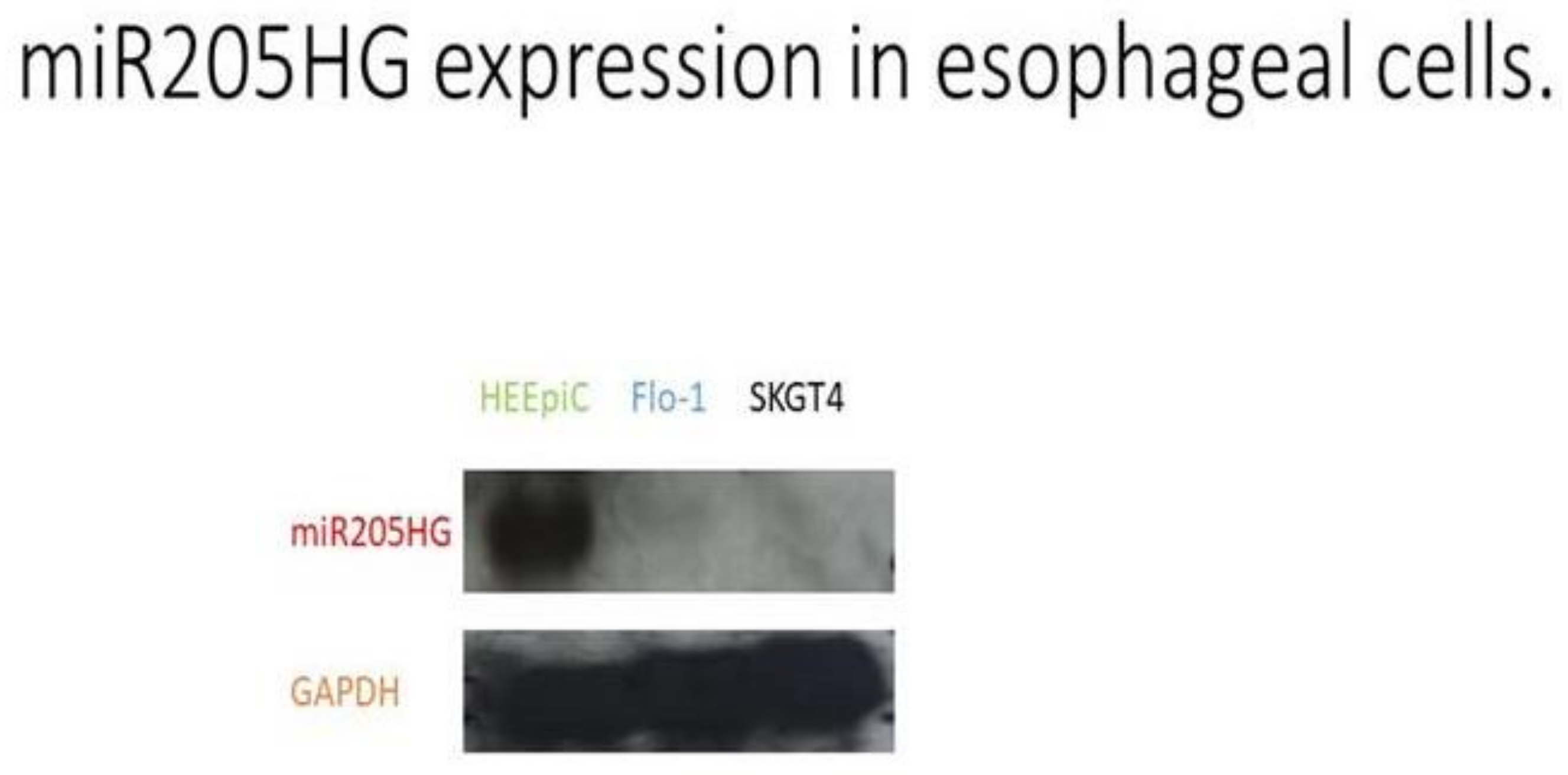 Cancers 13 01707 g003