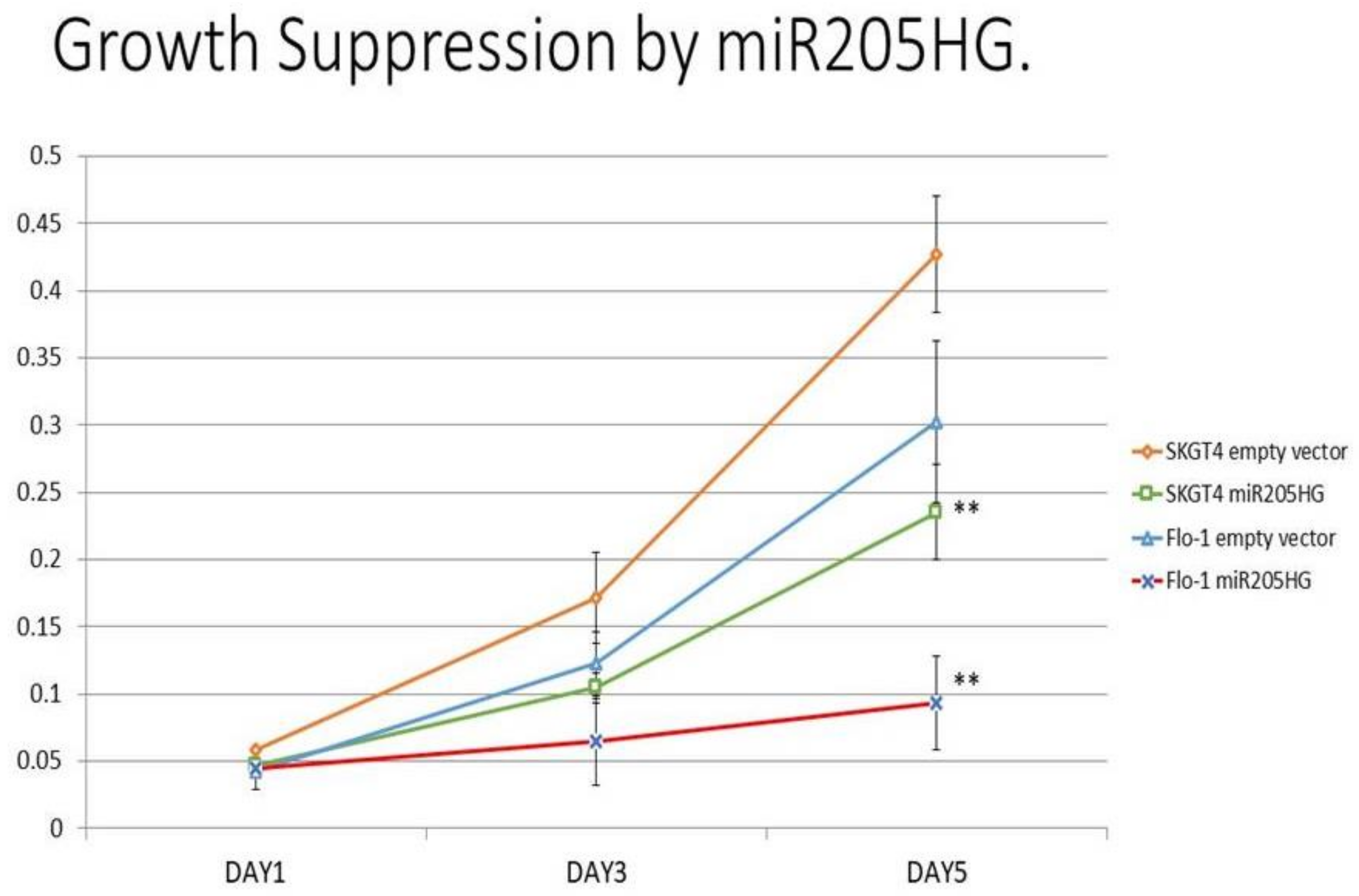 Cancers 13 01707 g008
