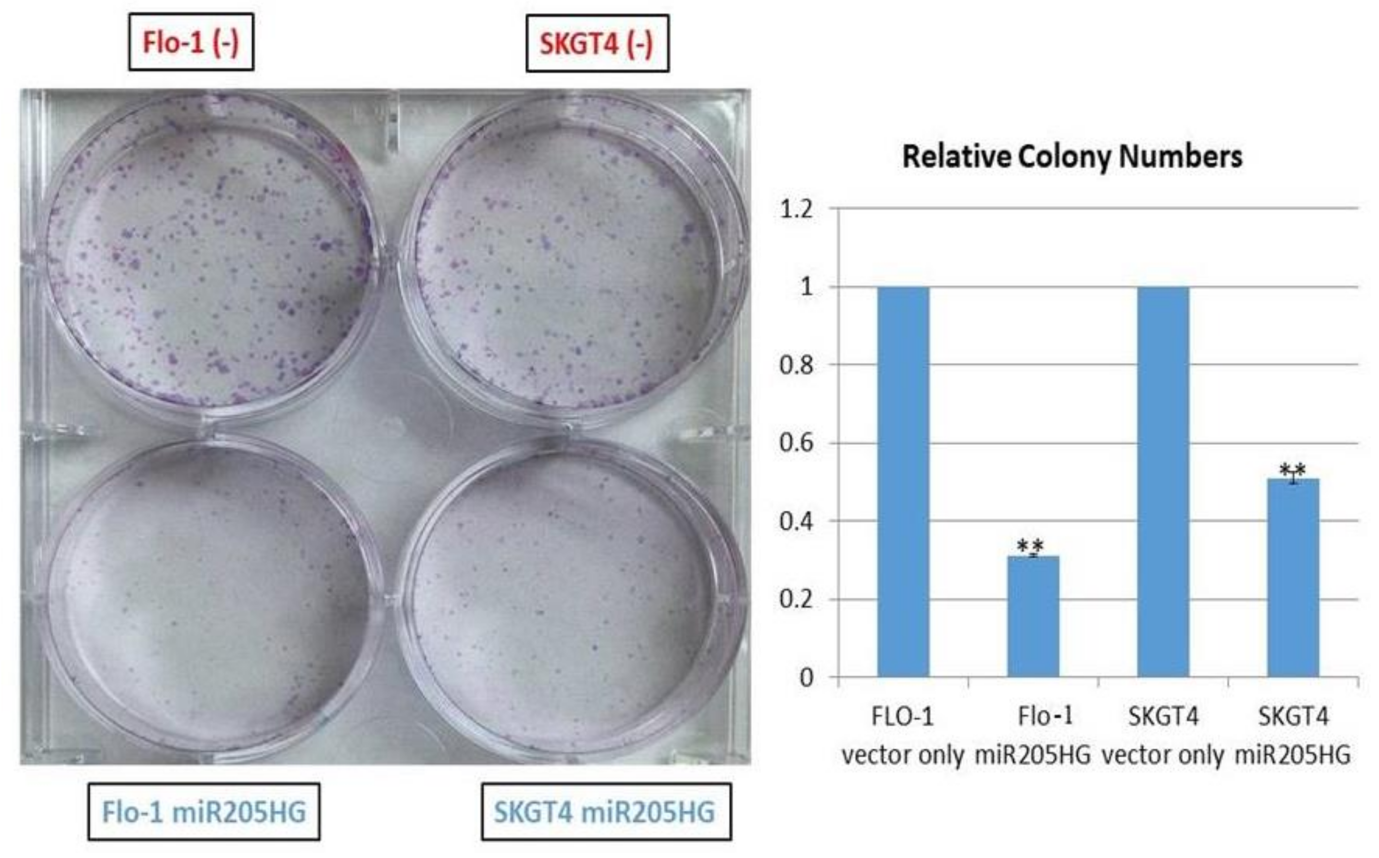 Cancers 13 01707 g009