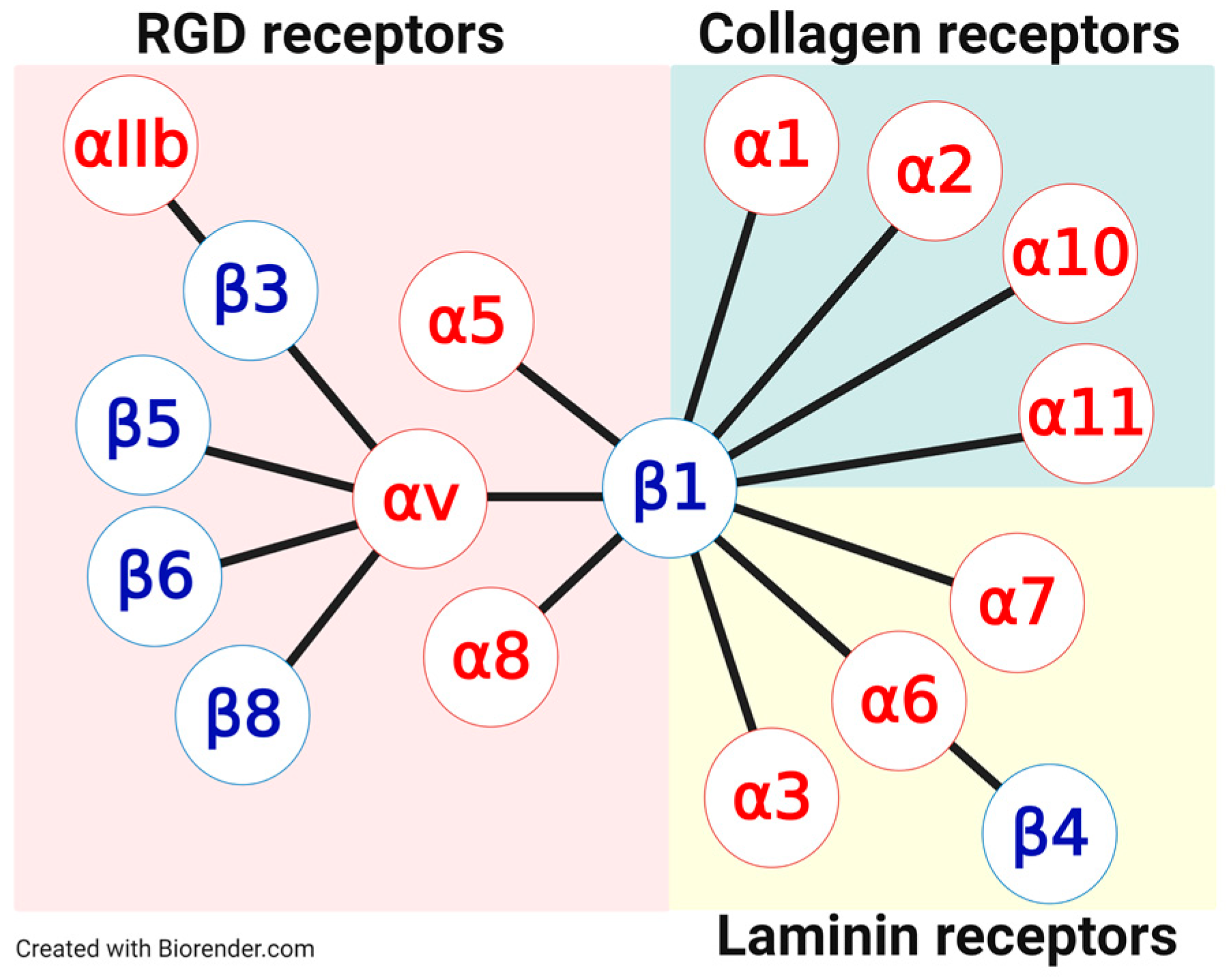 Cancers 13 01711 g001