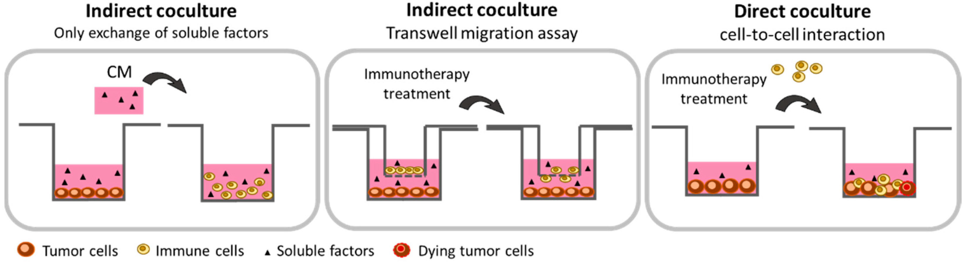 l immunotherapie cancer colorectal
