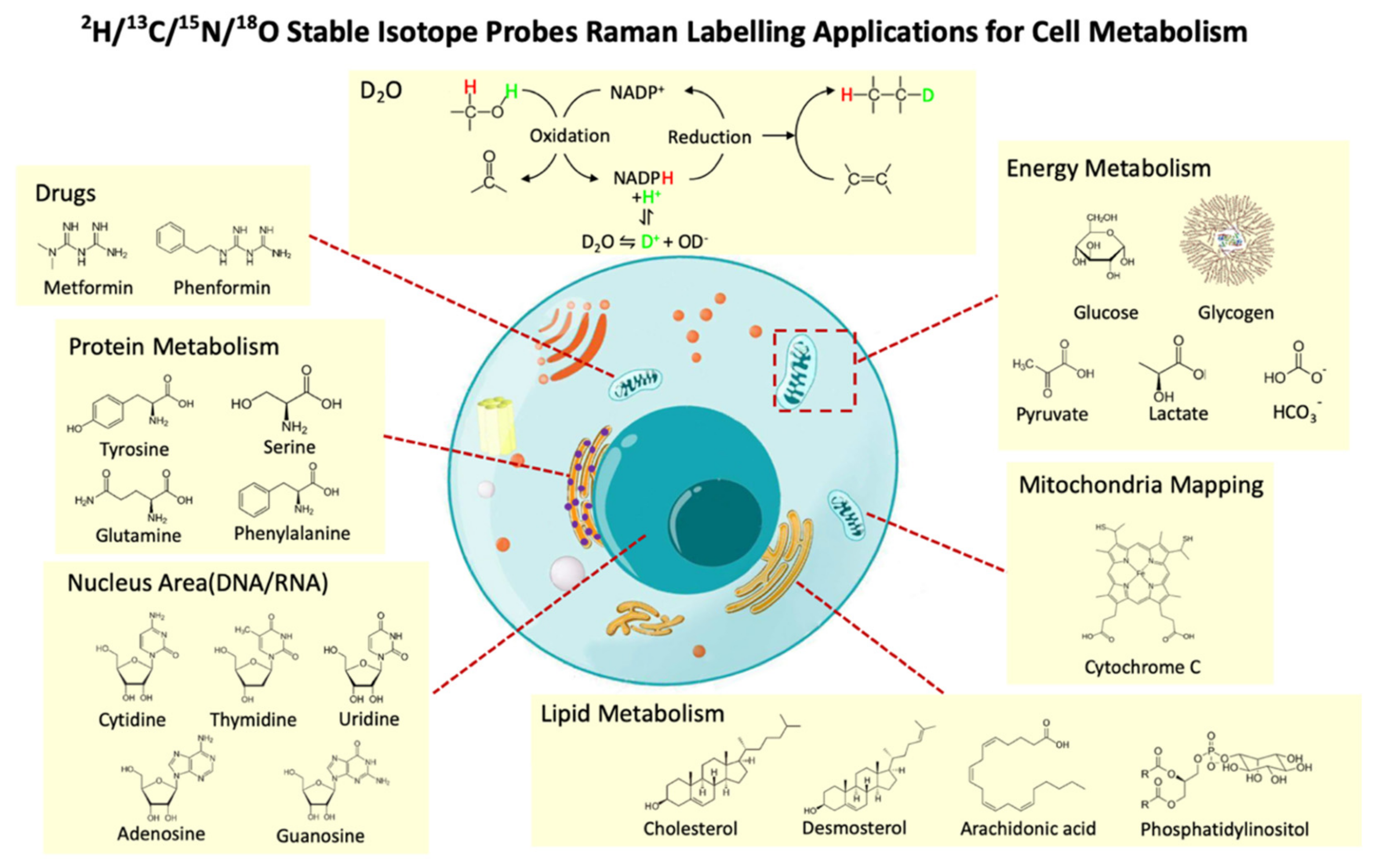 Cancers 13 01718 g006