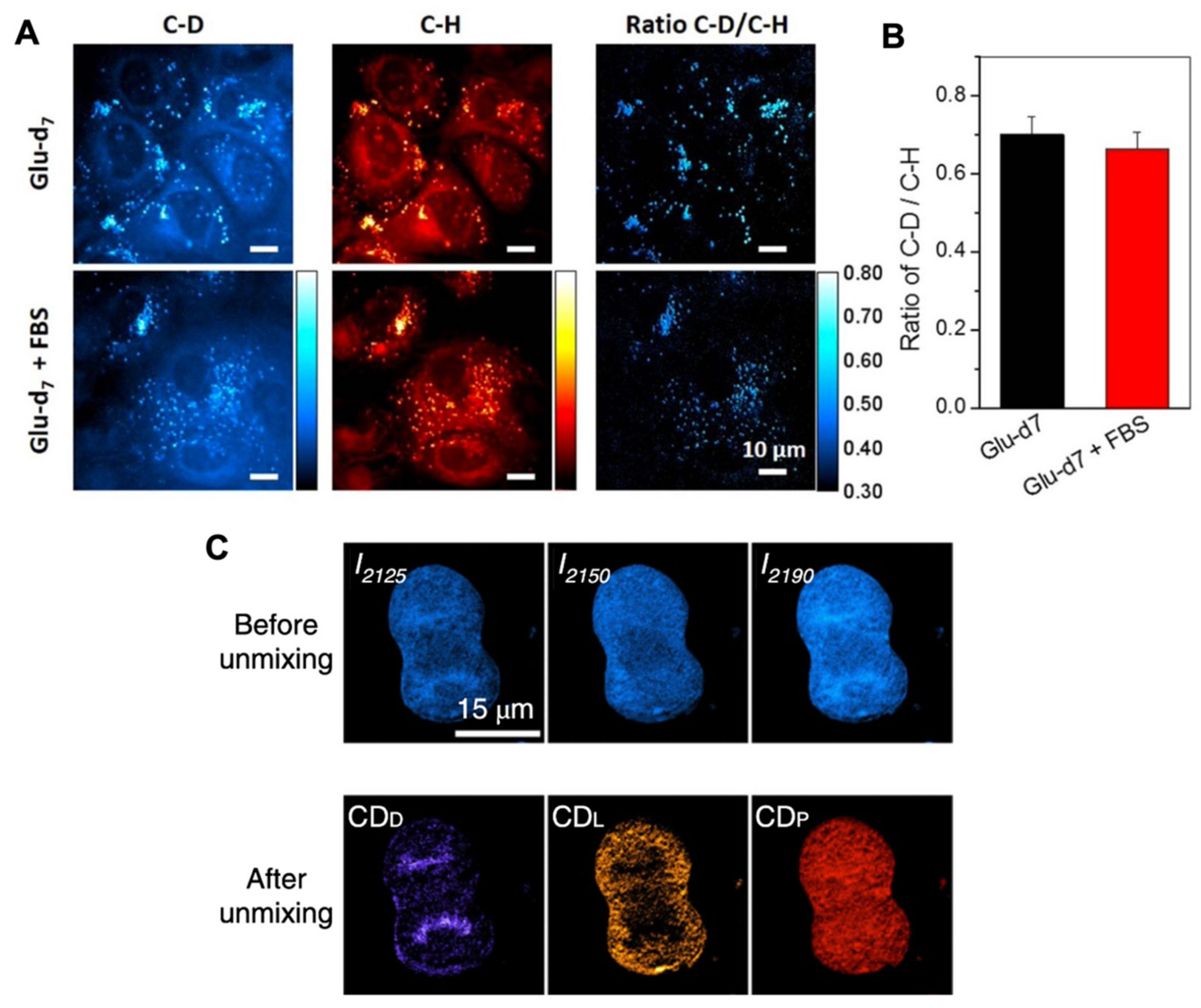 Cancers 13 01718 g007