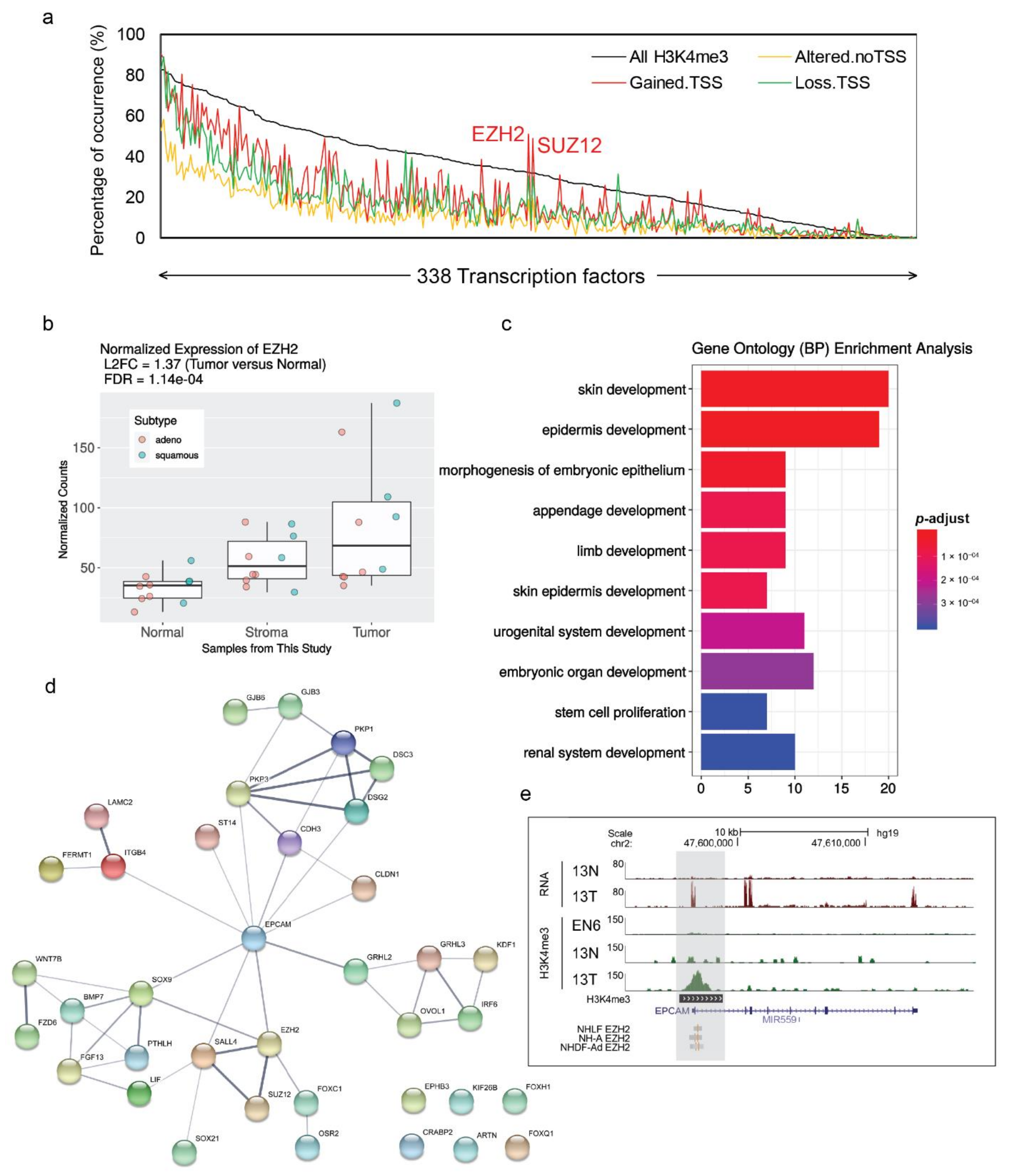 Cancers | Free Full-Text | Integrative RNA-Seq and H3 Trimethylation  ChIP-Seq Analysis of Human Lung Cancer Cells Isolated by  Laser-Microdissection