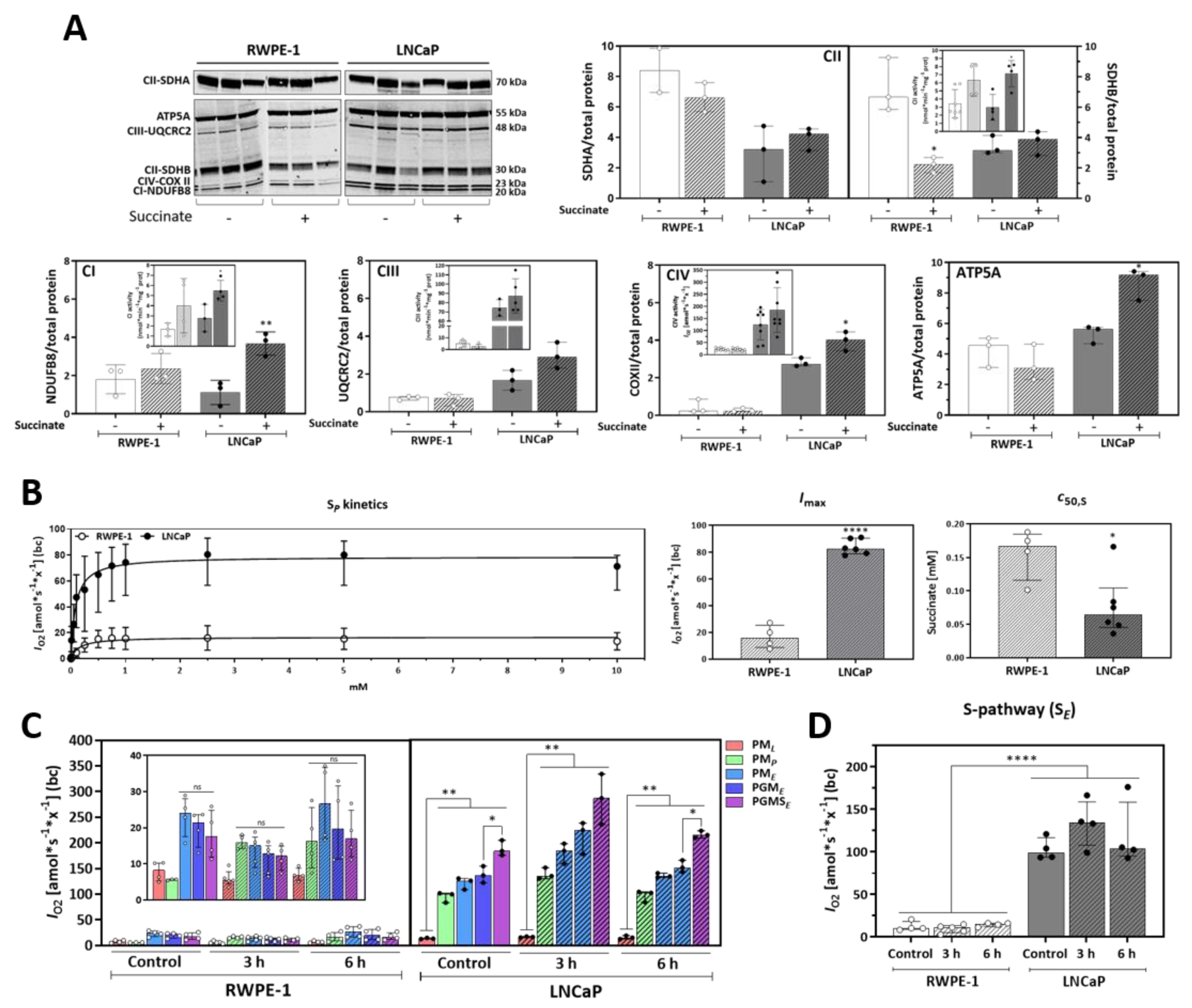 Cancers 13 01727 g004 Cancers 13 01727 g004