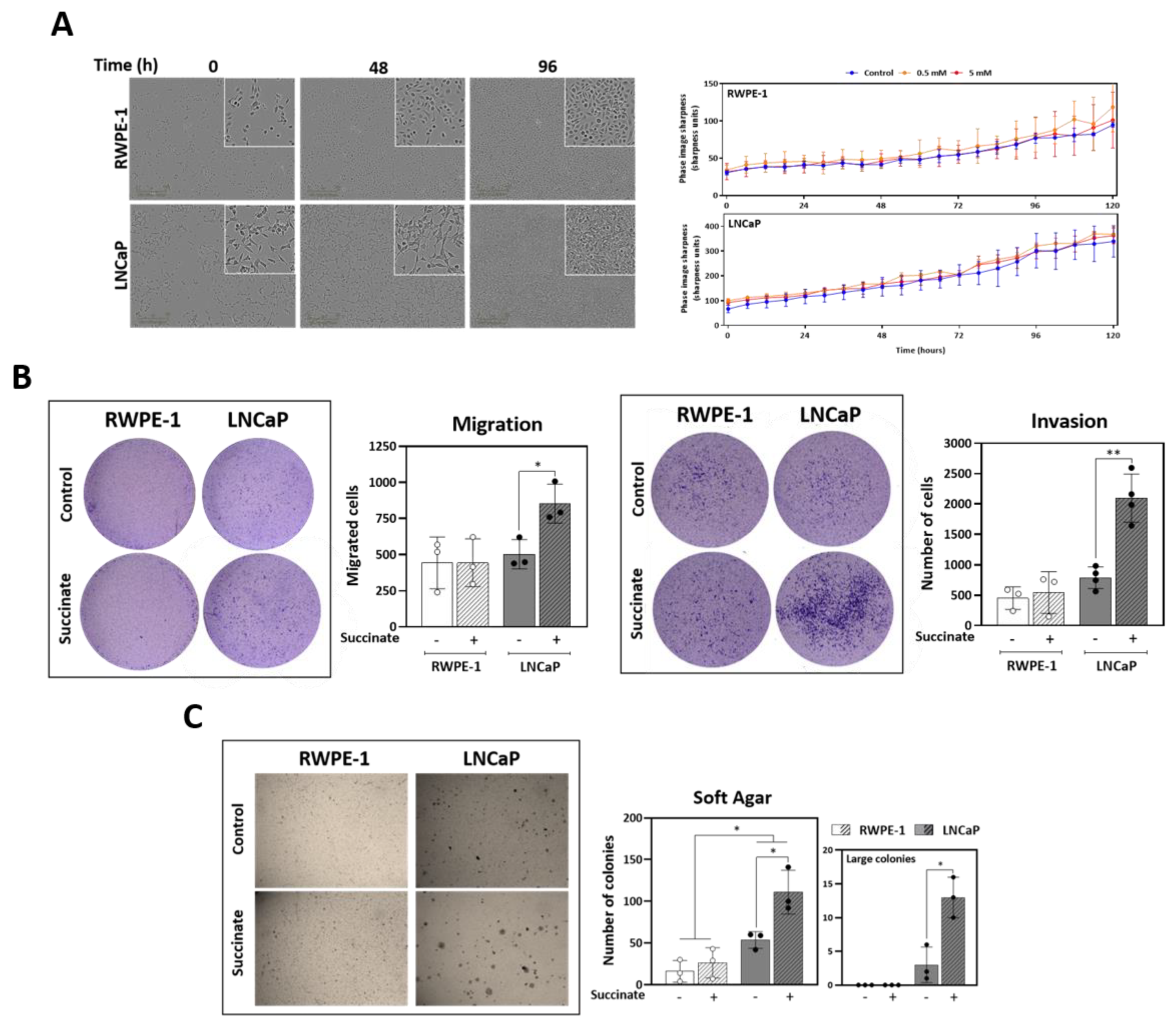 Cancers 13 01727 g005 Cancers 13 01727 g005