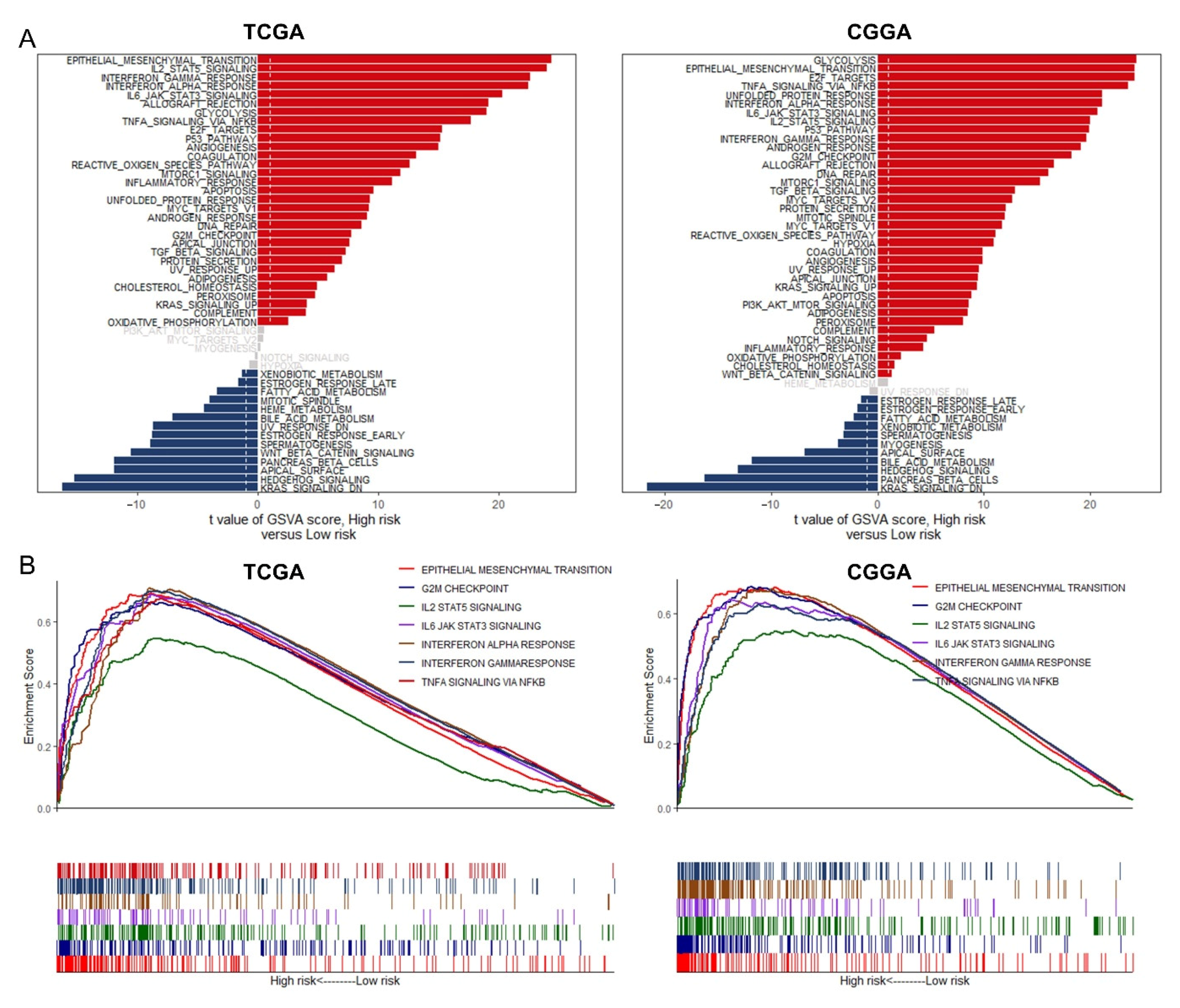 Cancers 13 01730 g008 Cancers 13 01730 g008