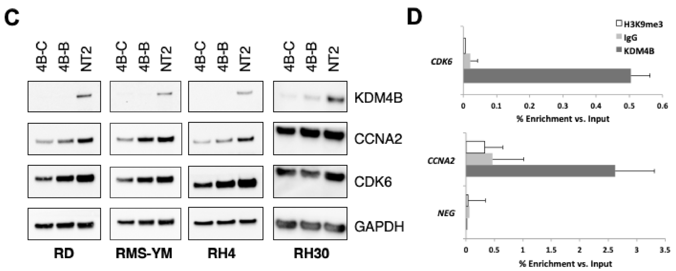 Cancers 13 01734 g004b