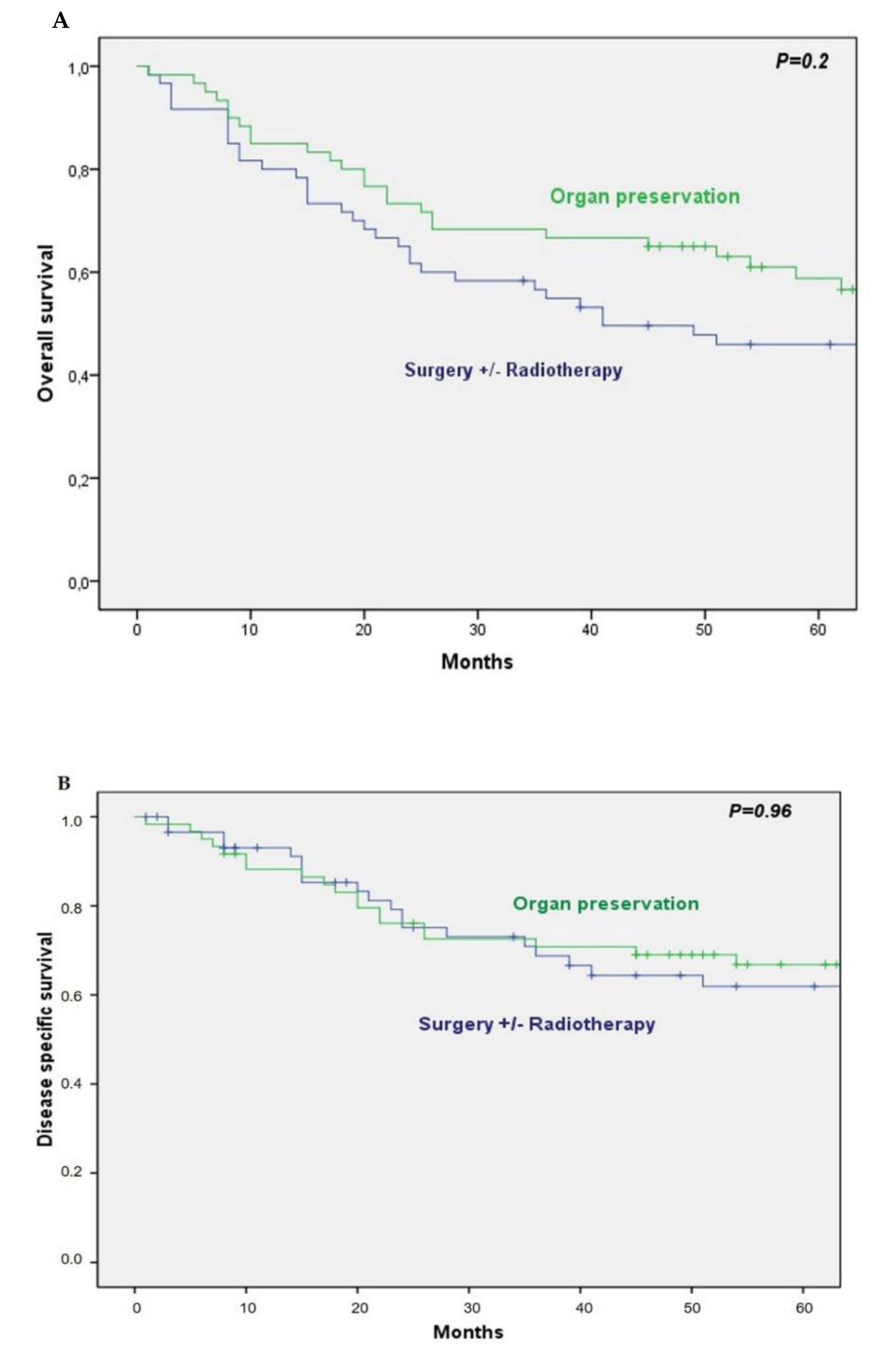Cancers 13 01735 g001 Cancers 13 01735 g001