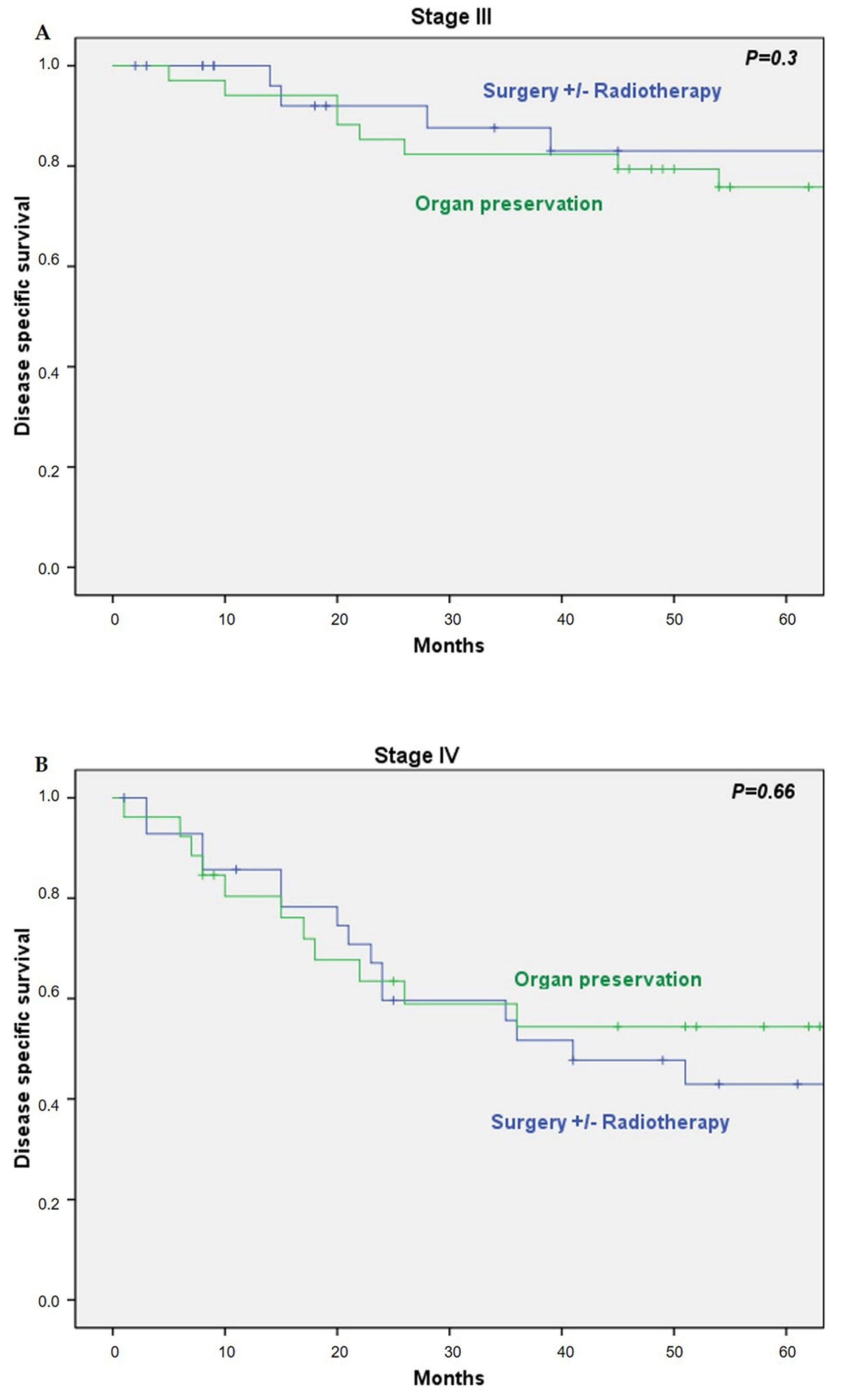 Cancers 13 01735 g002 Cancers 13 01735 g002