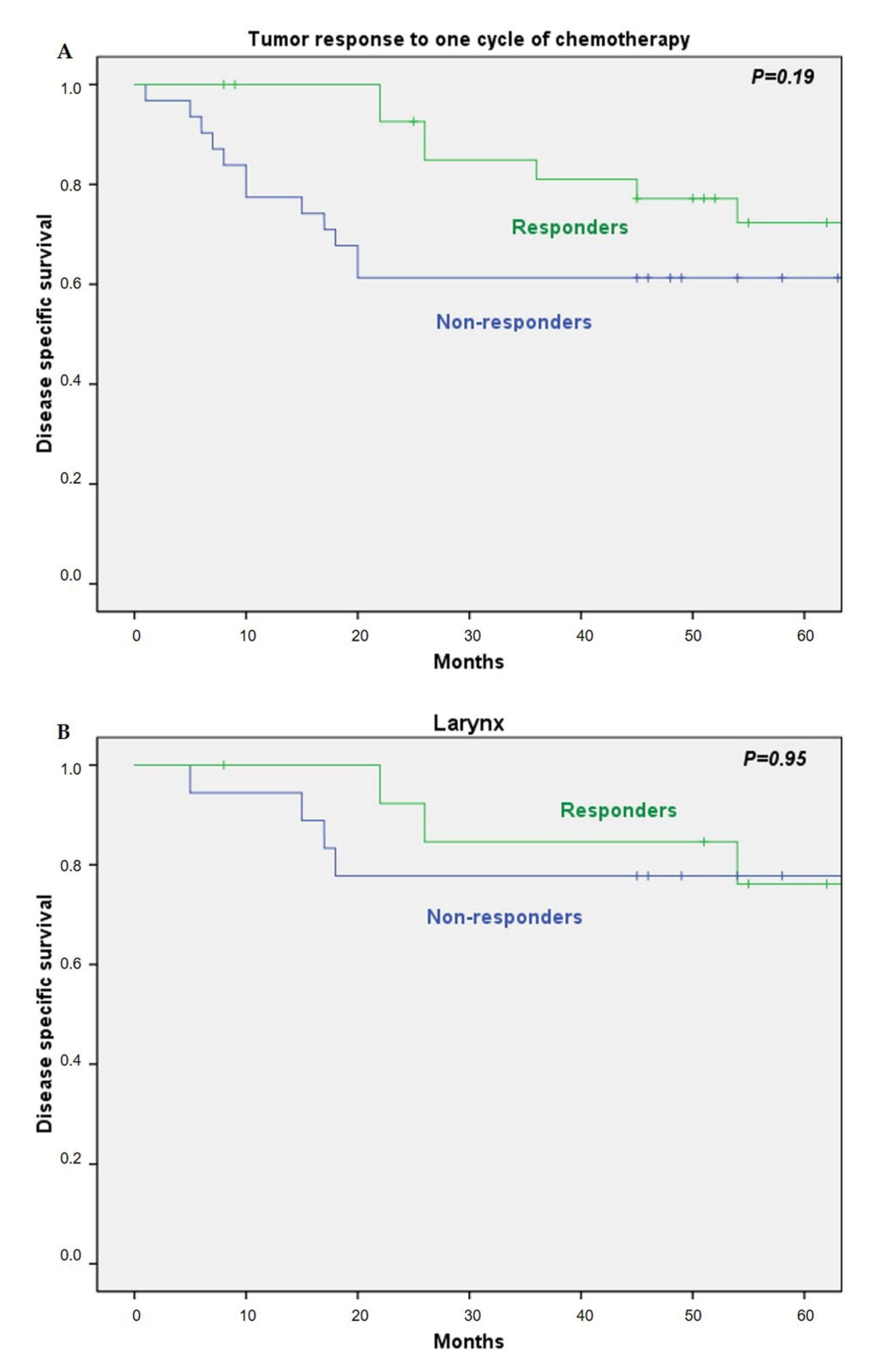 Cancers 13 01735 g004a Cancers 13 01735 g004a