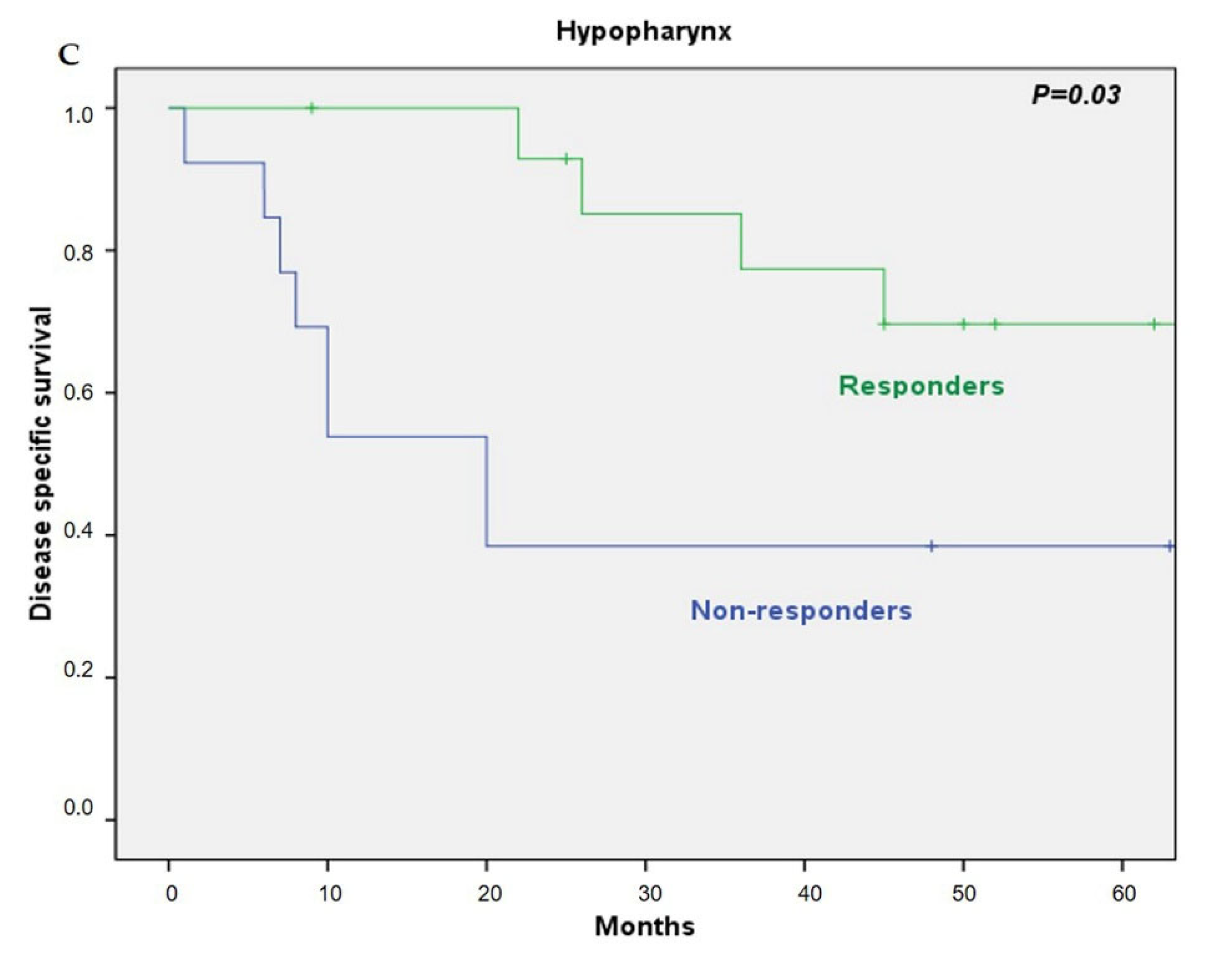 Cancers 13 01735 g004b Cancers 13 01735 g004b