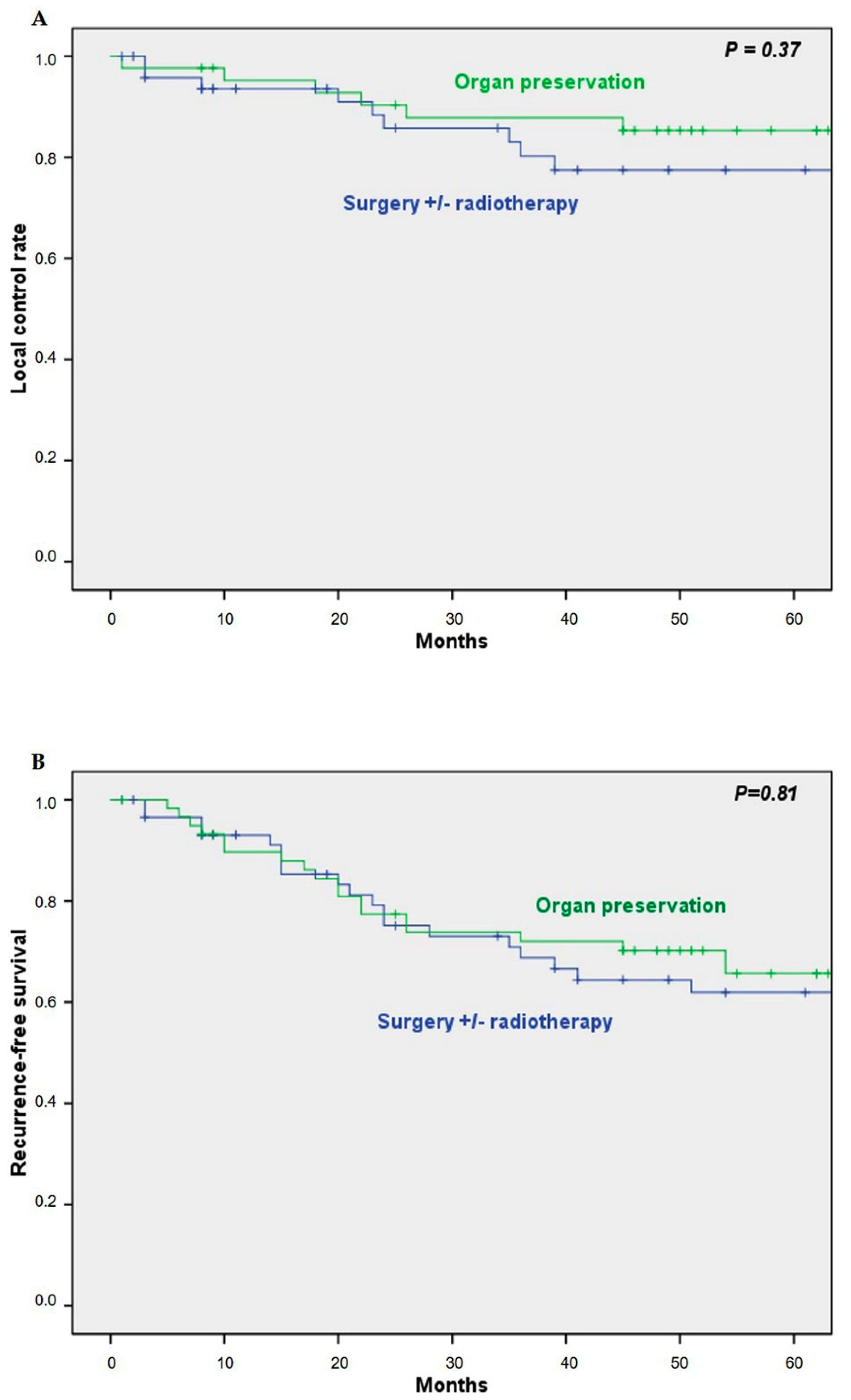 Cancers 13 01735 g005a Cancers 13 01735 g005a