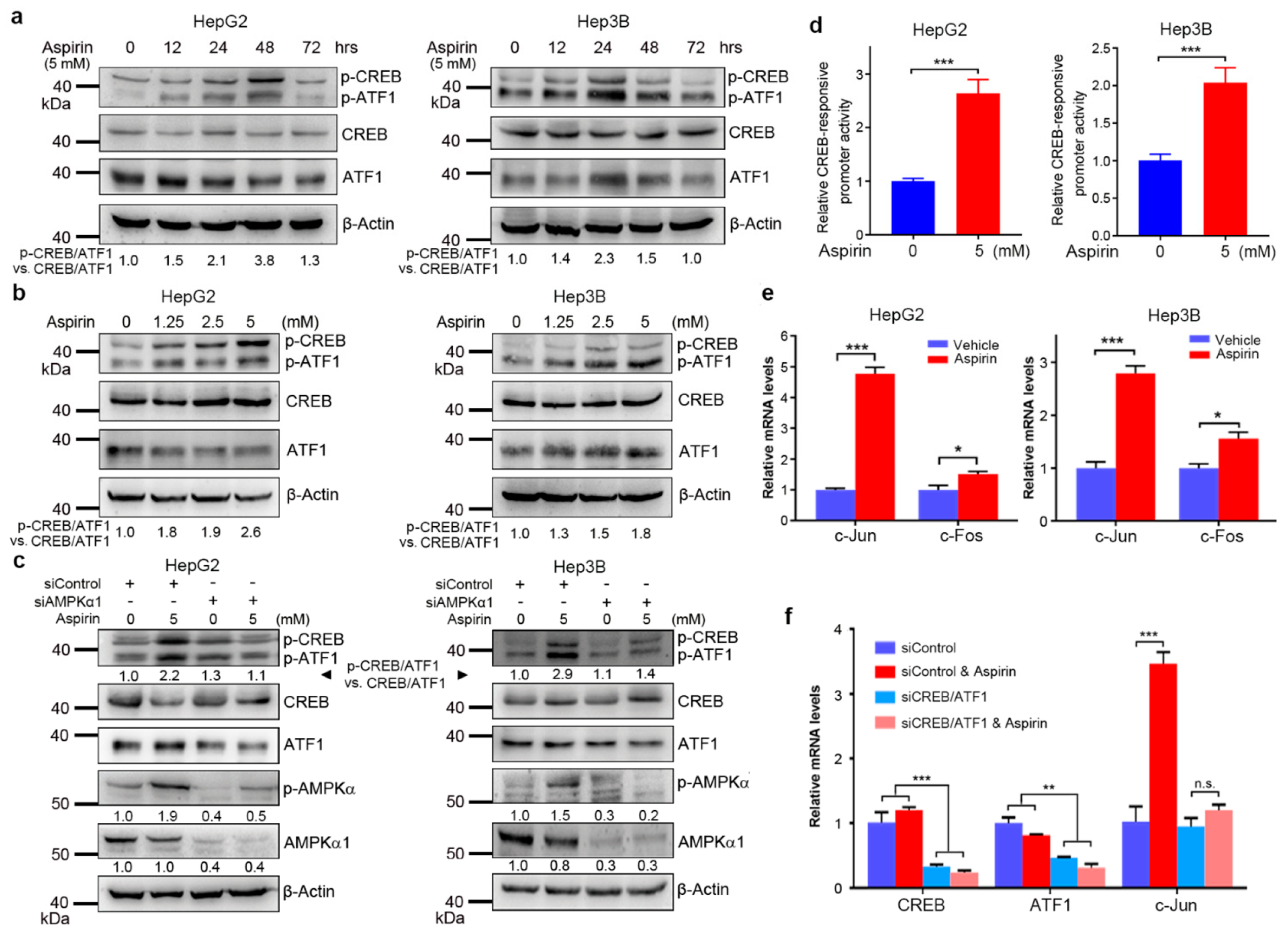Cancers 13 01738 g001 Cancers 13 01738 g001