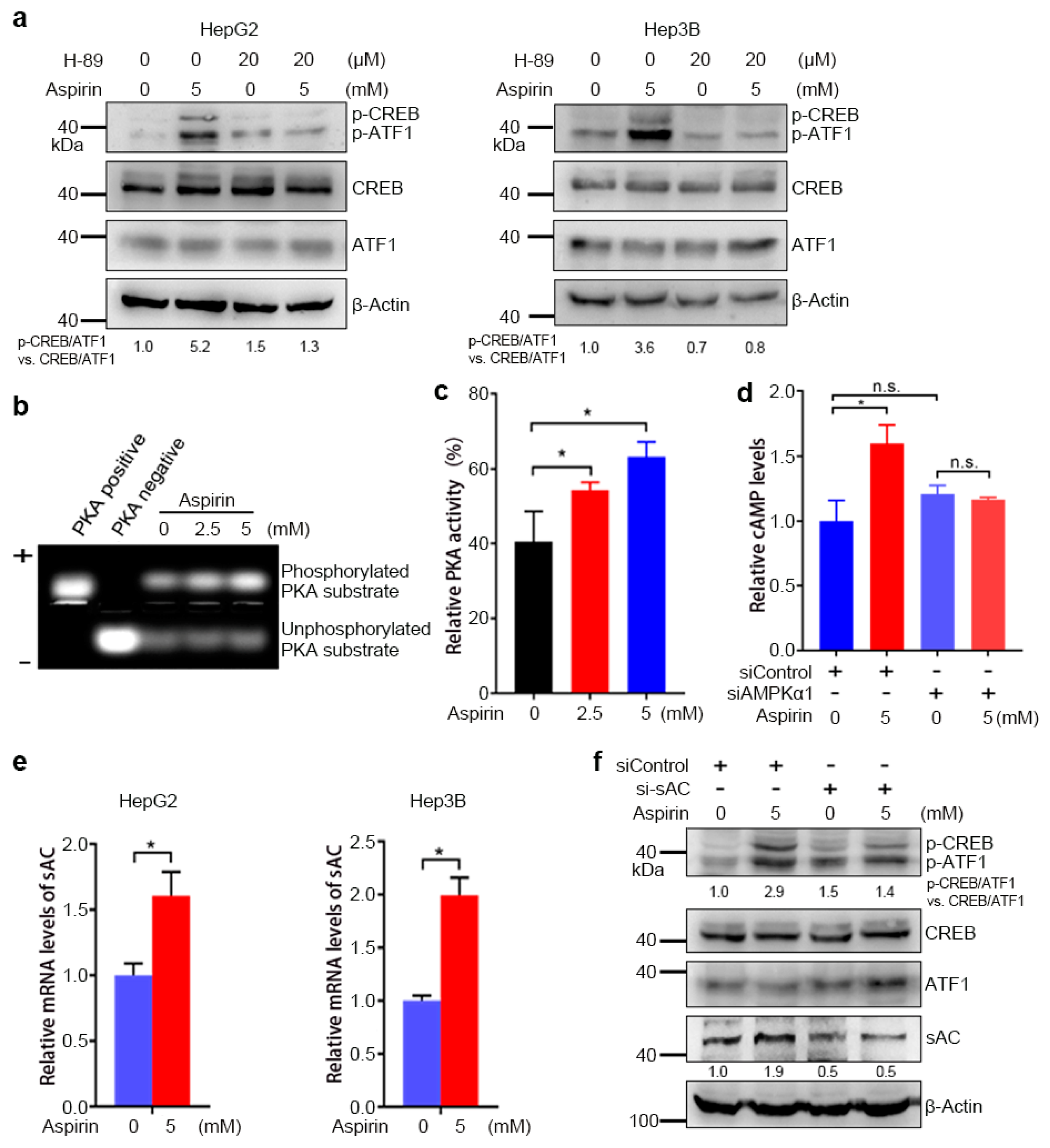 Cancers 13 01738 g002 Cancers 13 01738 g002