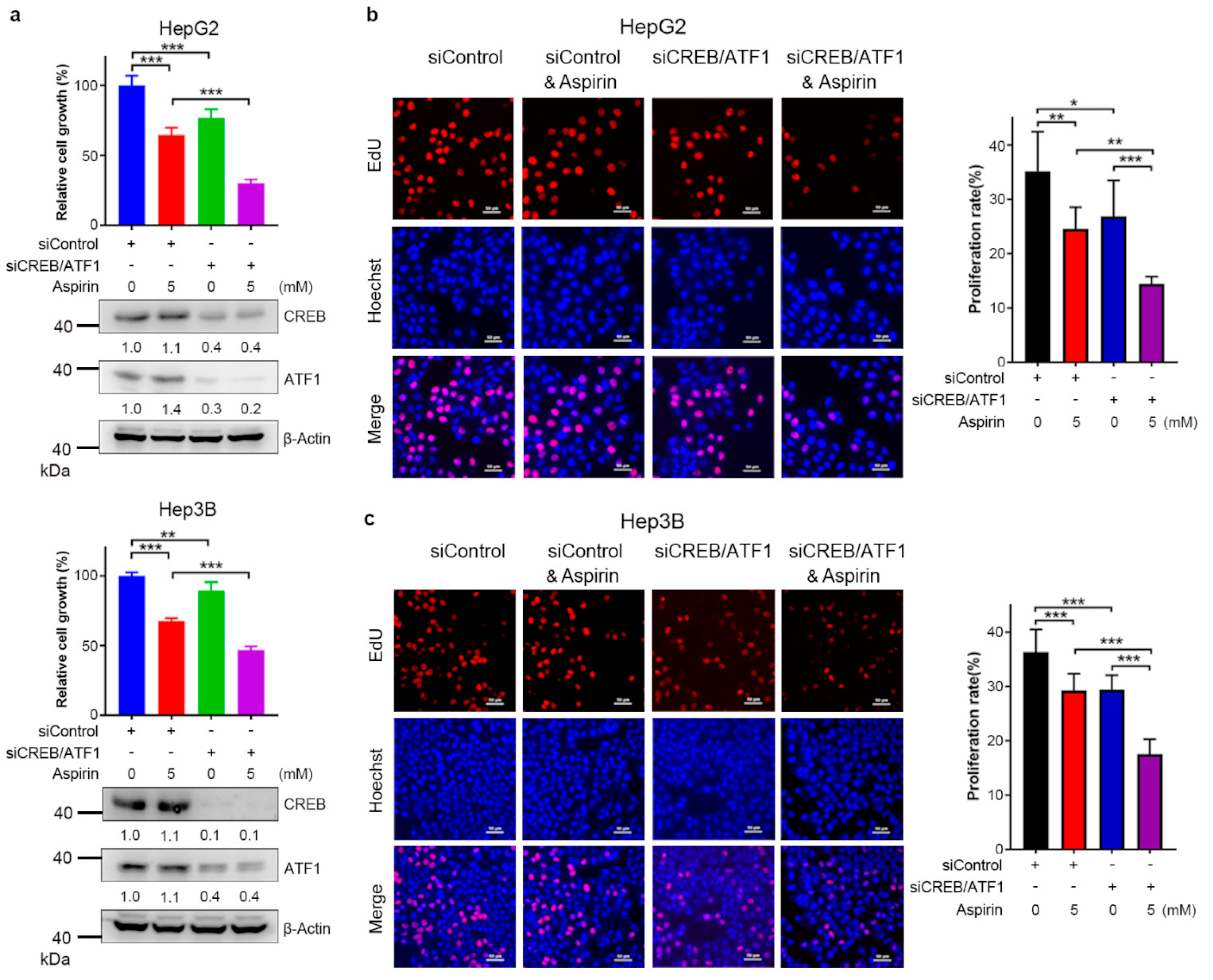 Cancers 13 01738 g004 Cancers 13 01738 g004