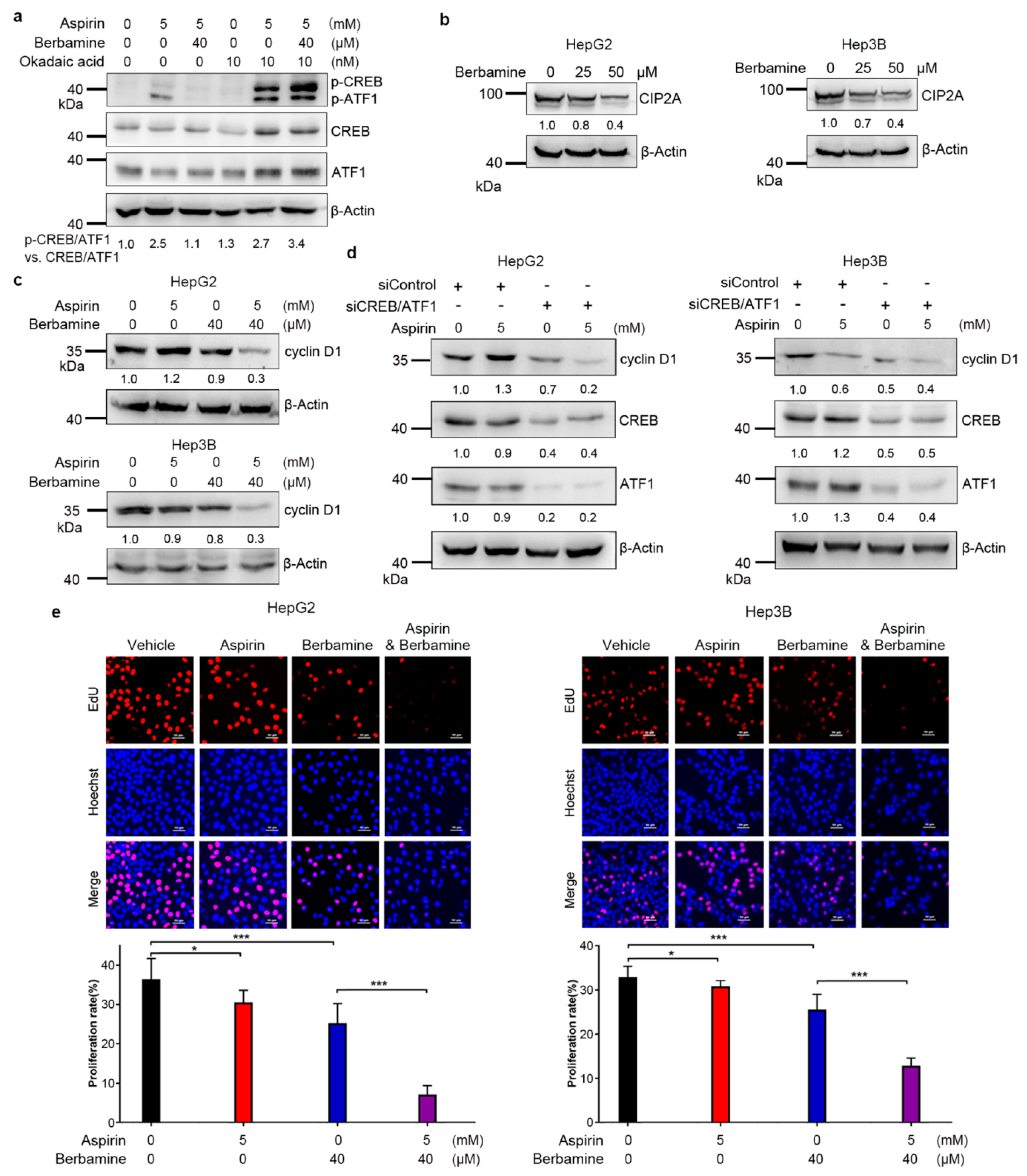 Cancers 13 01738 g006 Cancers 13 01738 g006