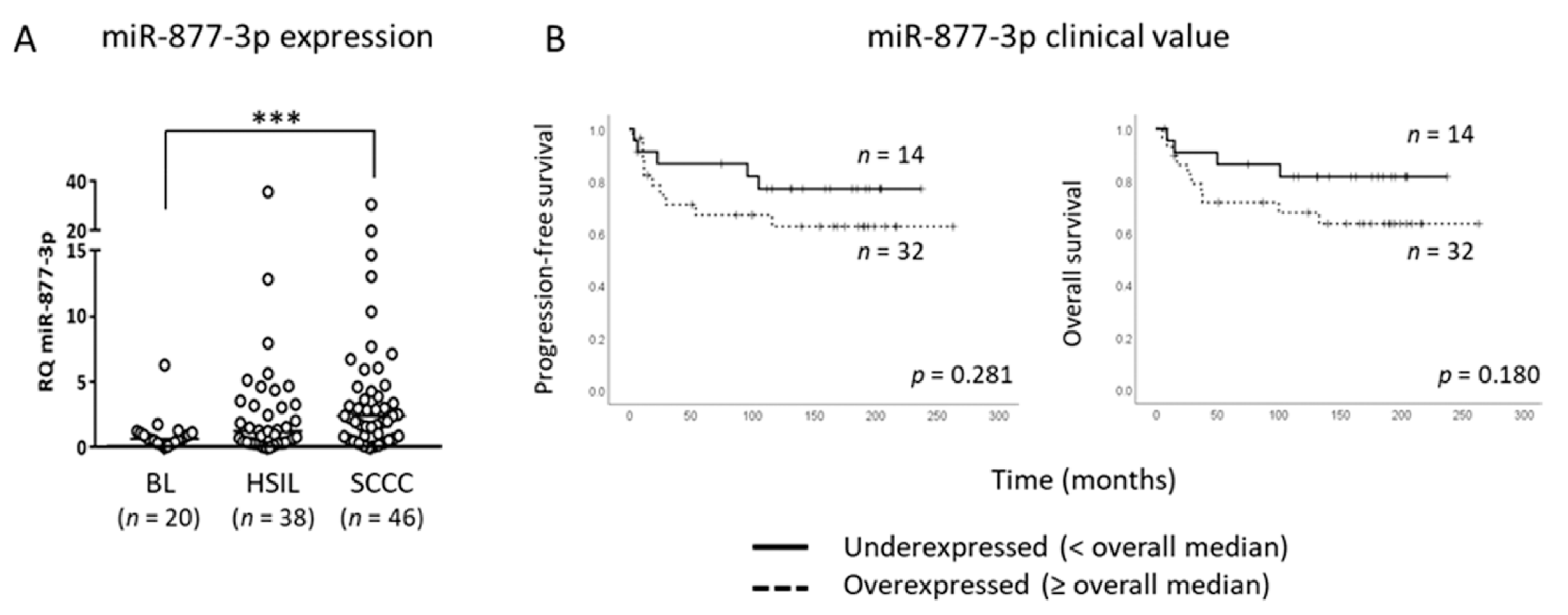Cancers 13 01739 g001 Cancers 13 01739 g001