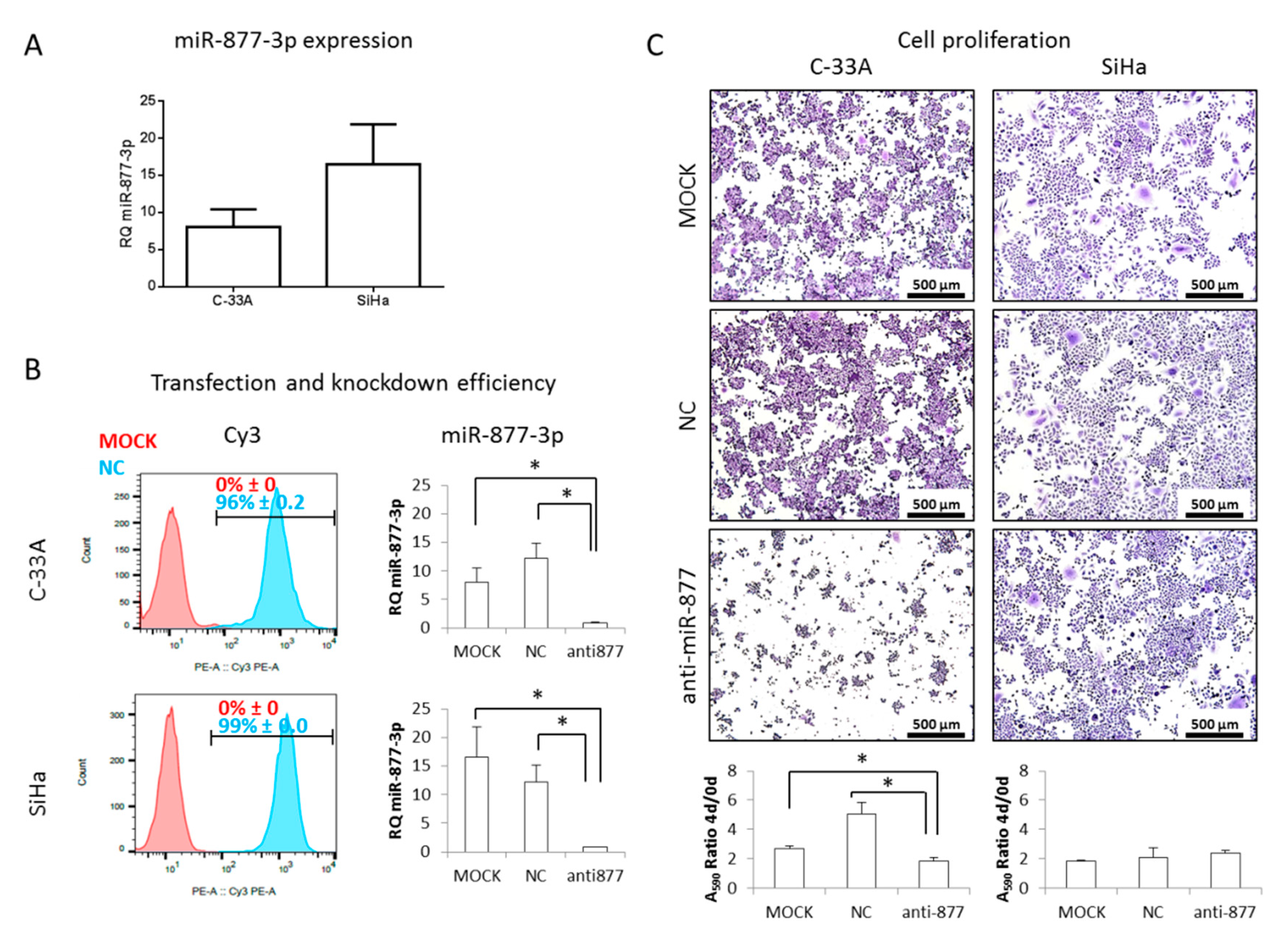 Cancers 13 01739 g002 Cancers 13 01739 g002