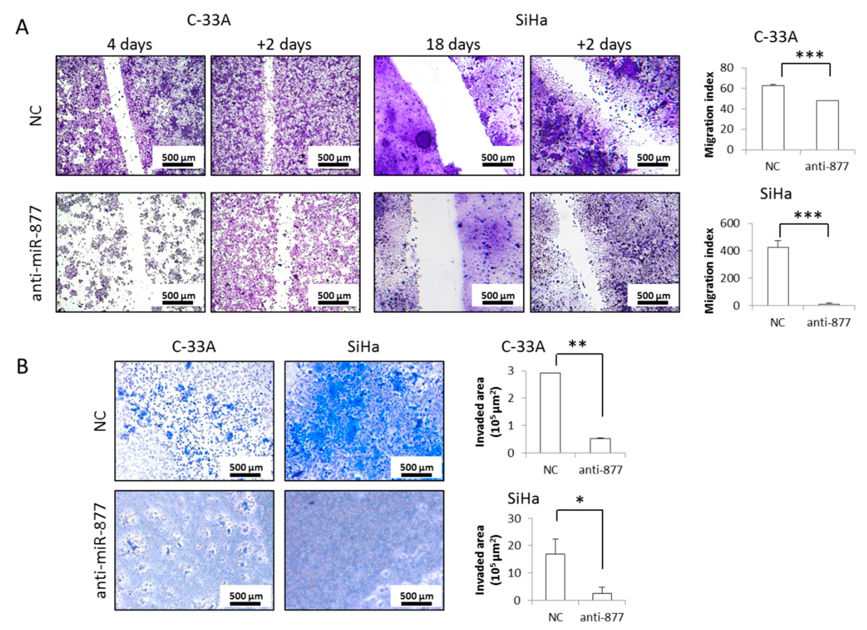 Cancers 13 01739 g003 Cancers 13 01739 g003