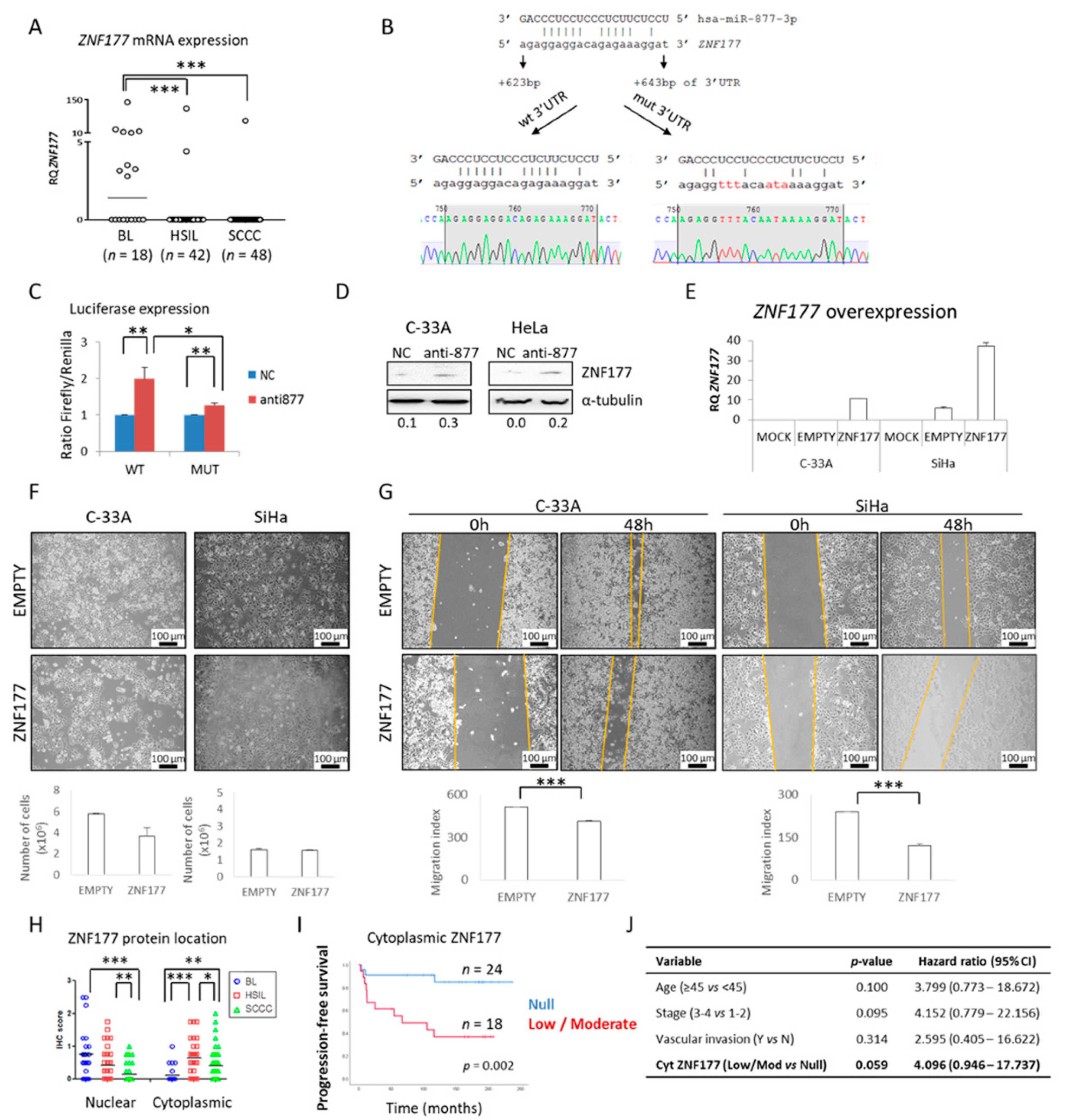 Cancers 13 01739 g004 Cancers 13 01739 g004
