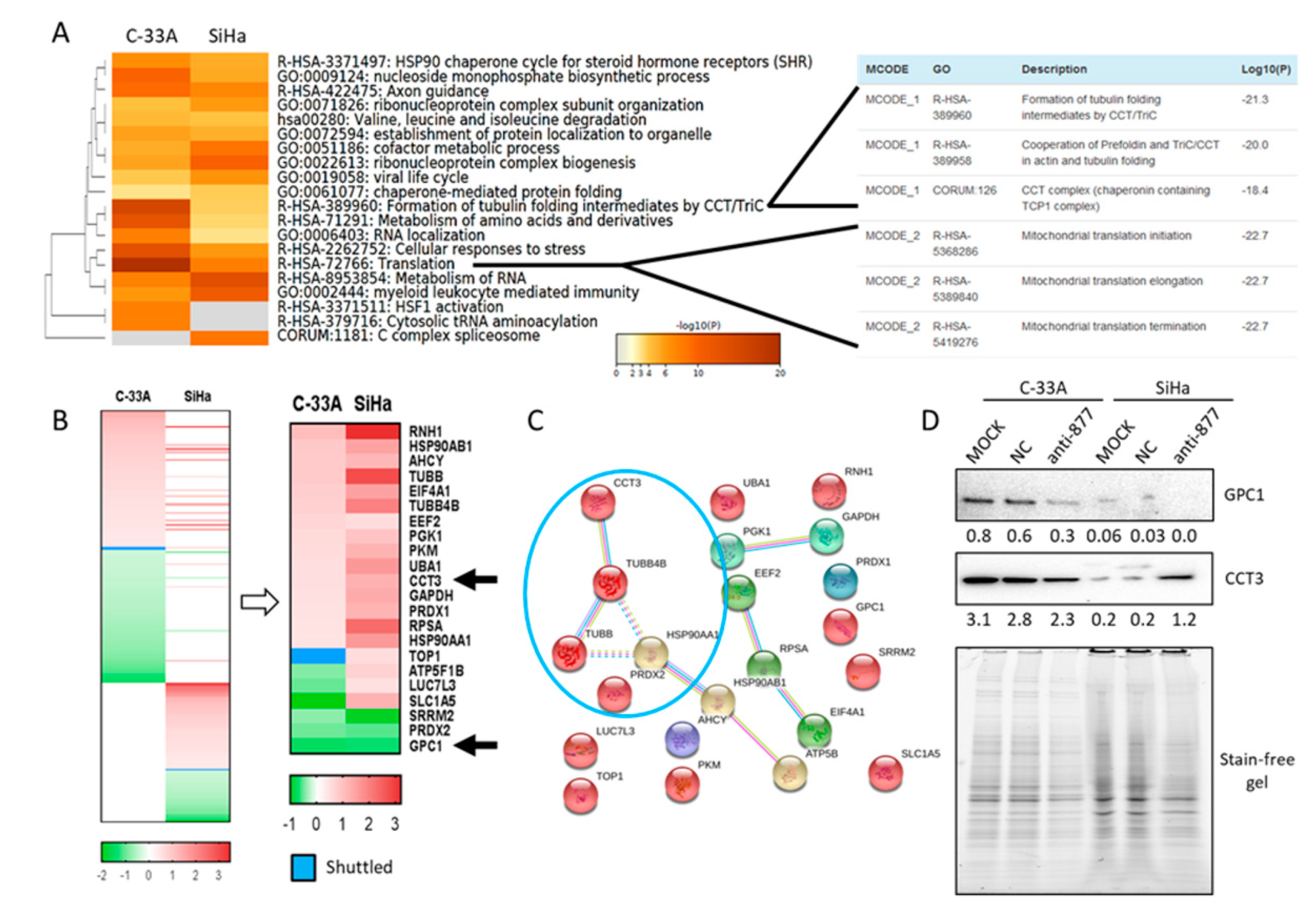Cancers 13 01739 g005 Cancers 13 01739 g005