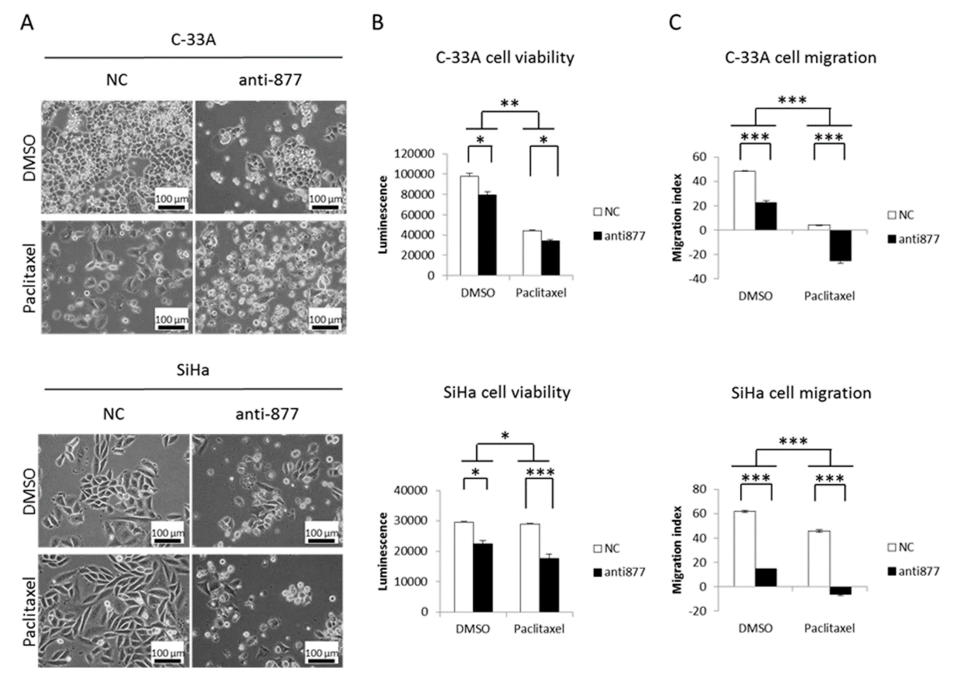 Cancers 13 01739 g006 Cancers 13 01739 g006