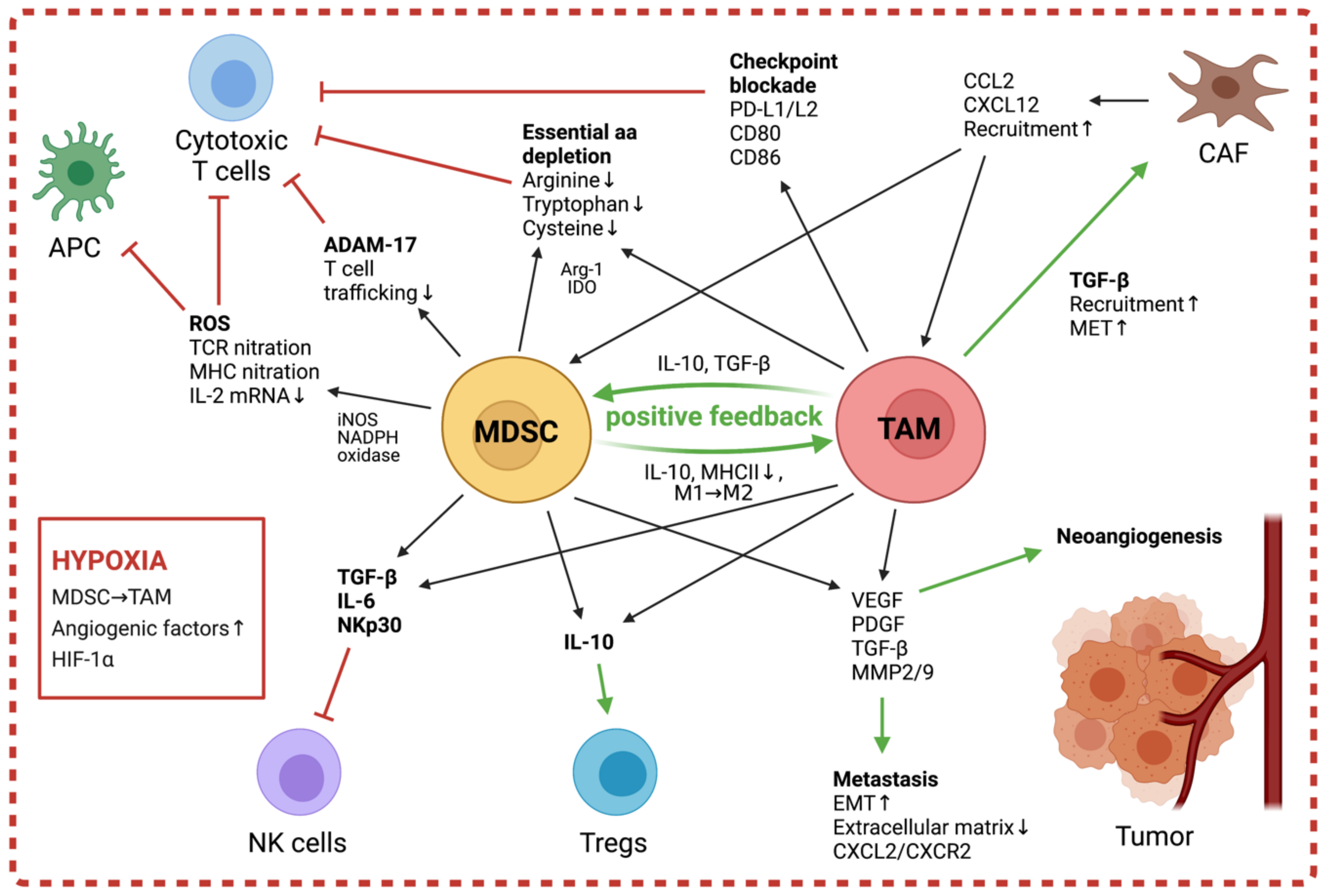 Cancers 13 01743 g002