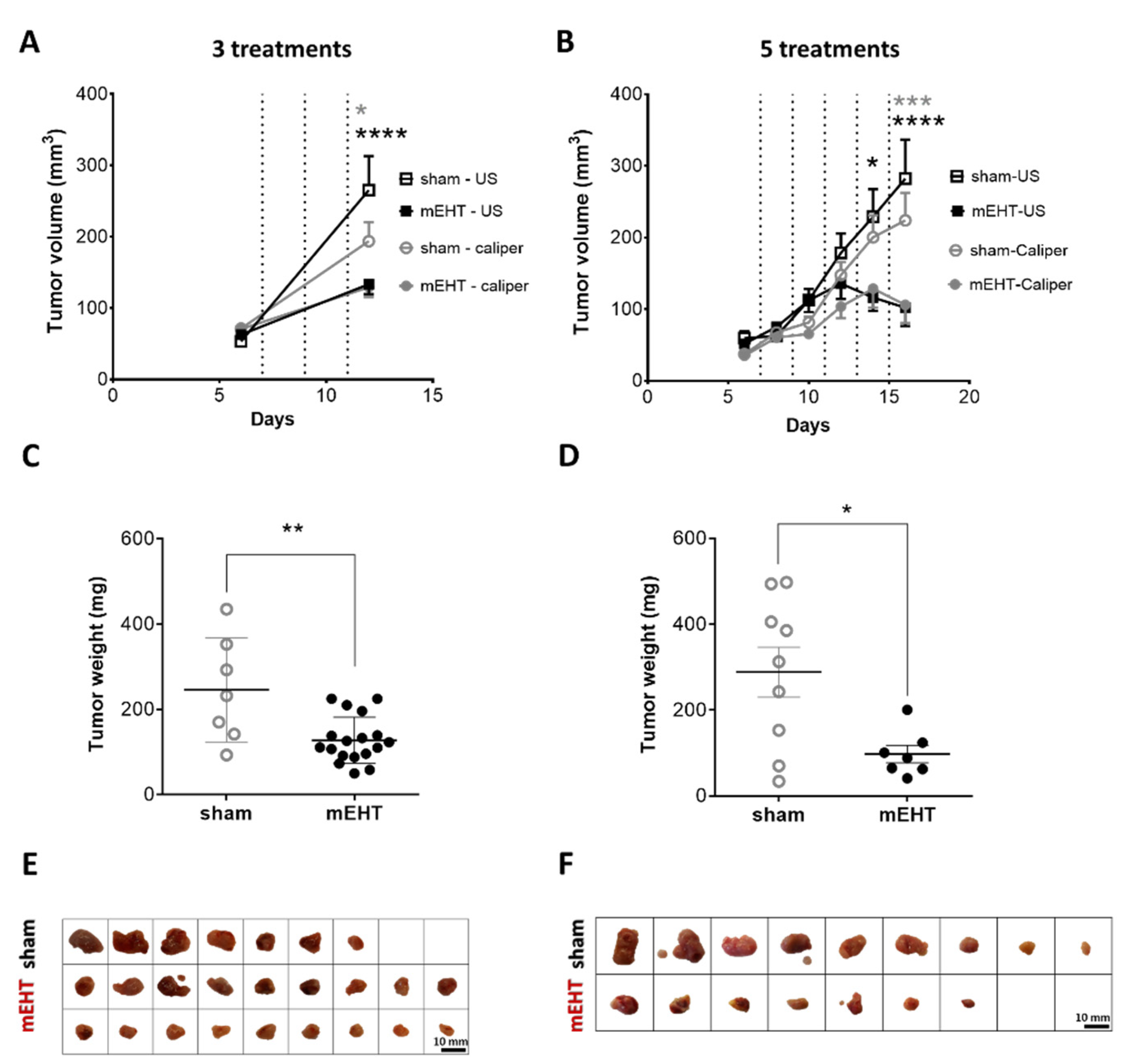Cancers 13 01744 g001 Cancers 13 01744 g001