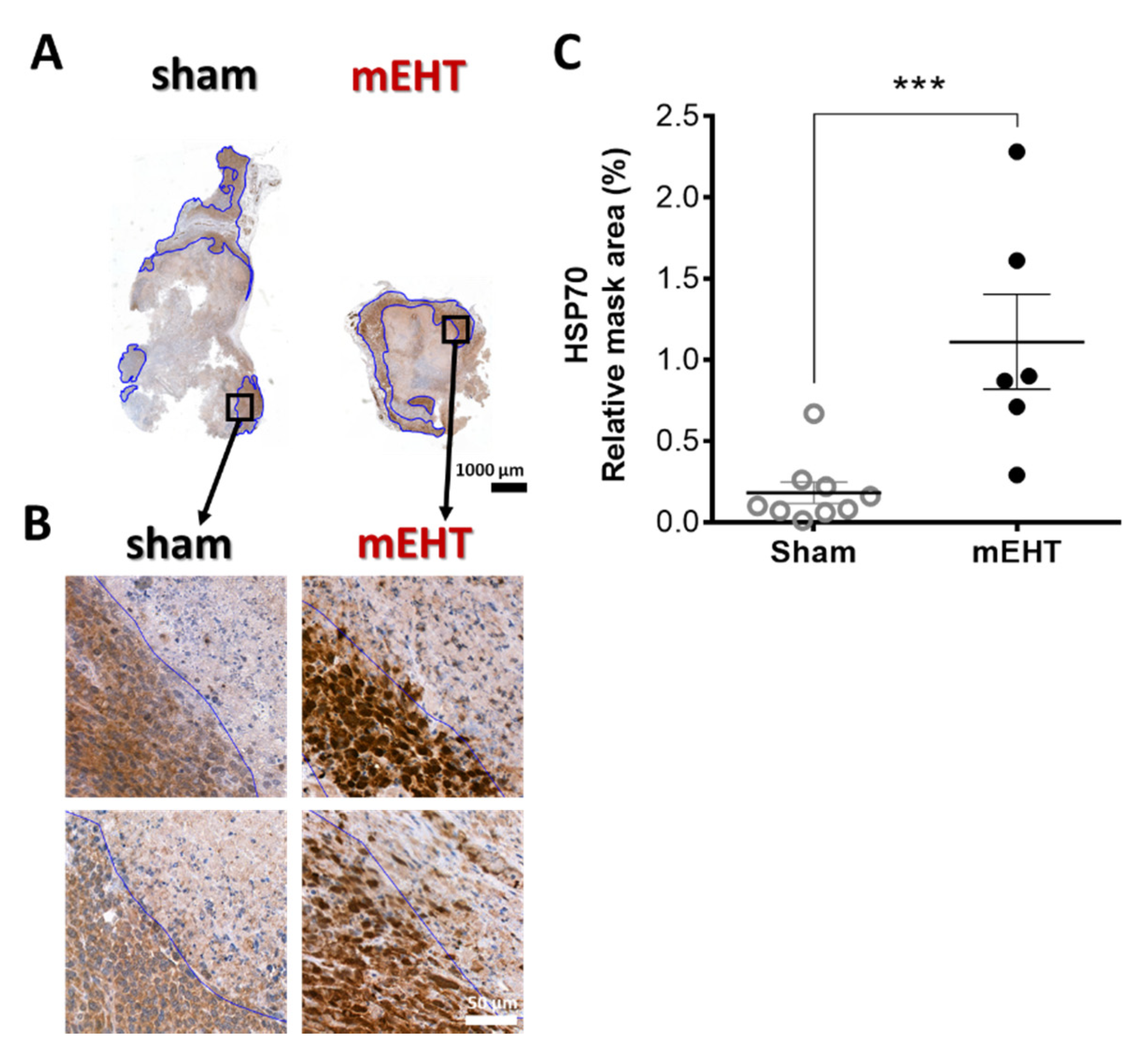 Cancers 13 01744 g003 Cancers 13 01744 g003