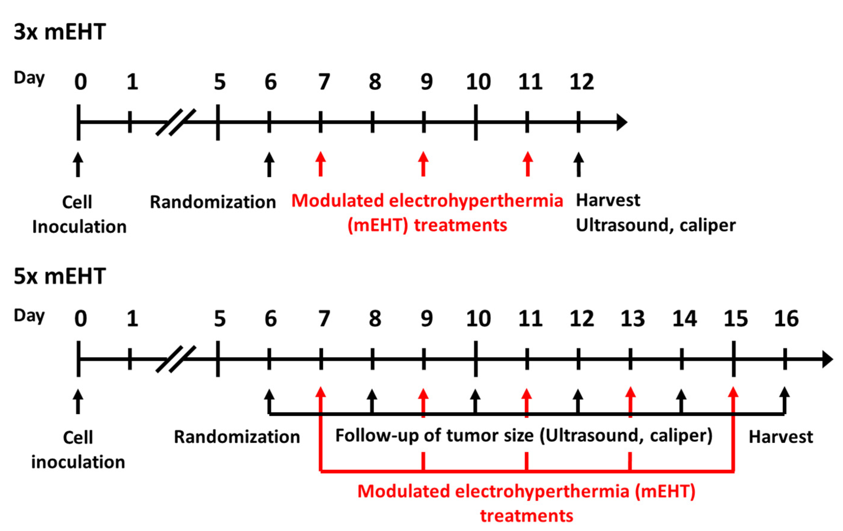 Cancers 13 01744 g008 Cancers 13 01744 g008