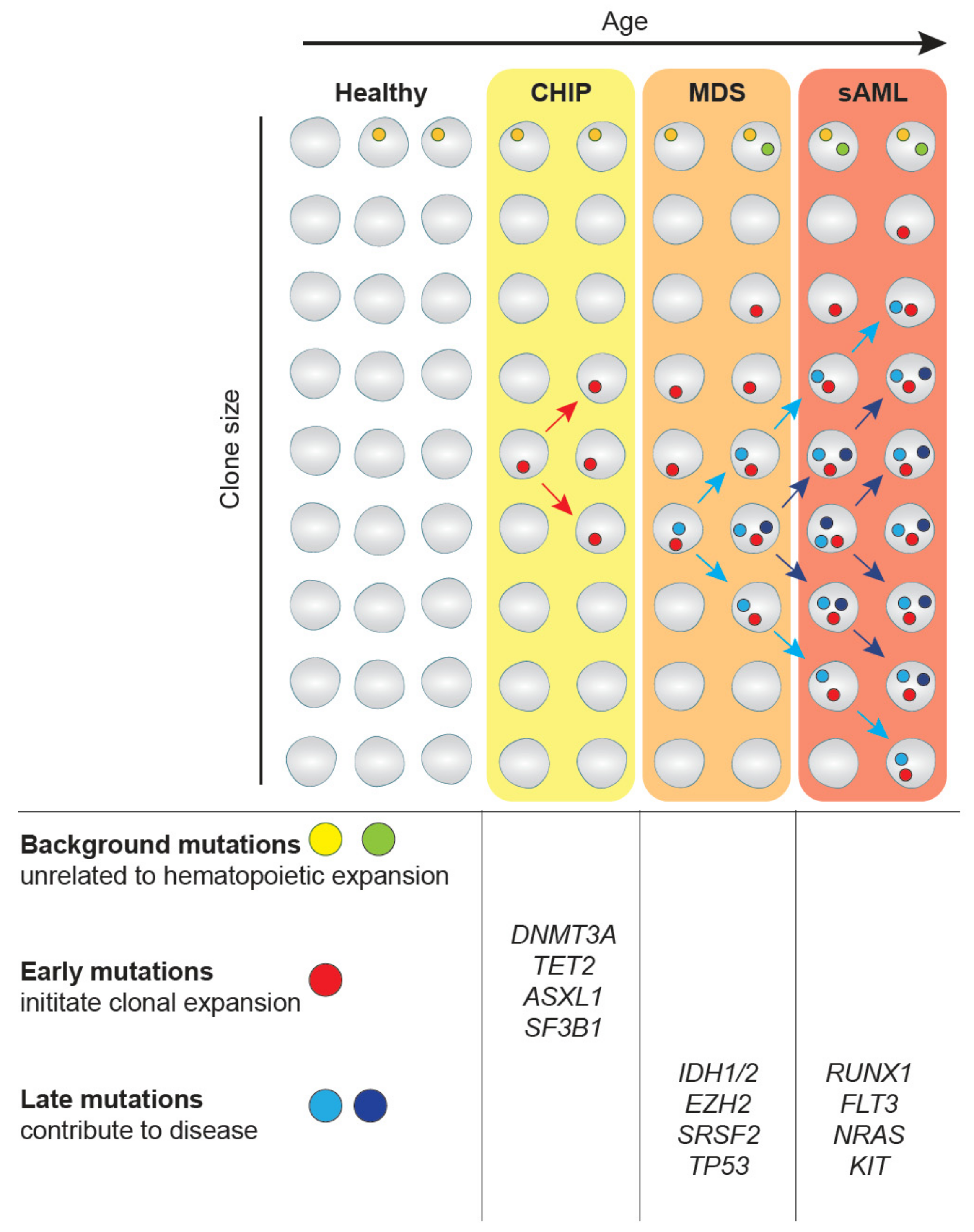 Cancers 13 01746 g001 Cancers 13 01746 g001