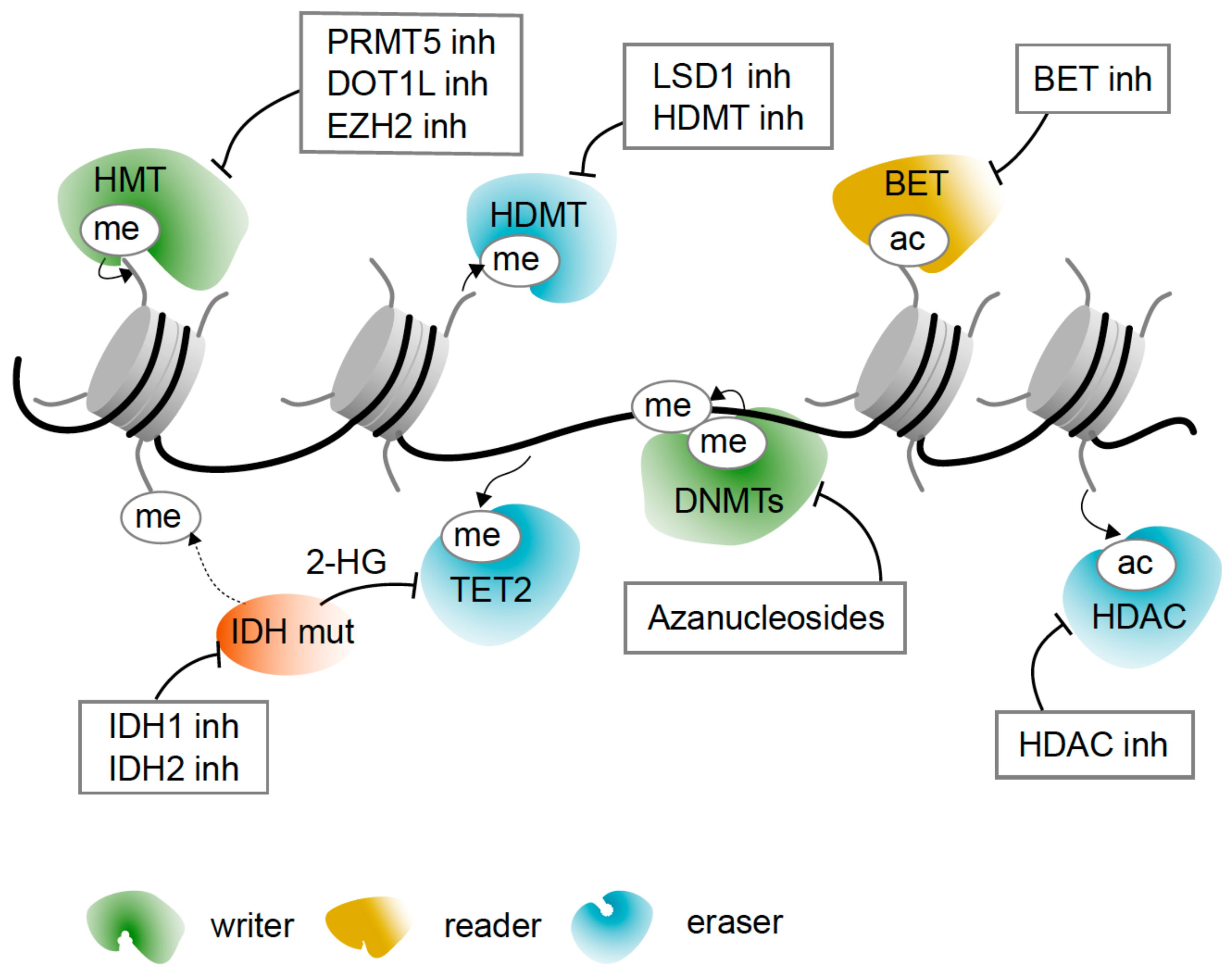 Cancers 13 01746 g002 Cancers 13 01746 g002