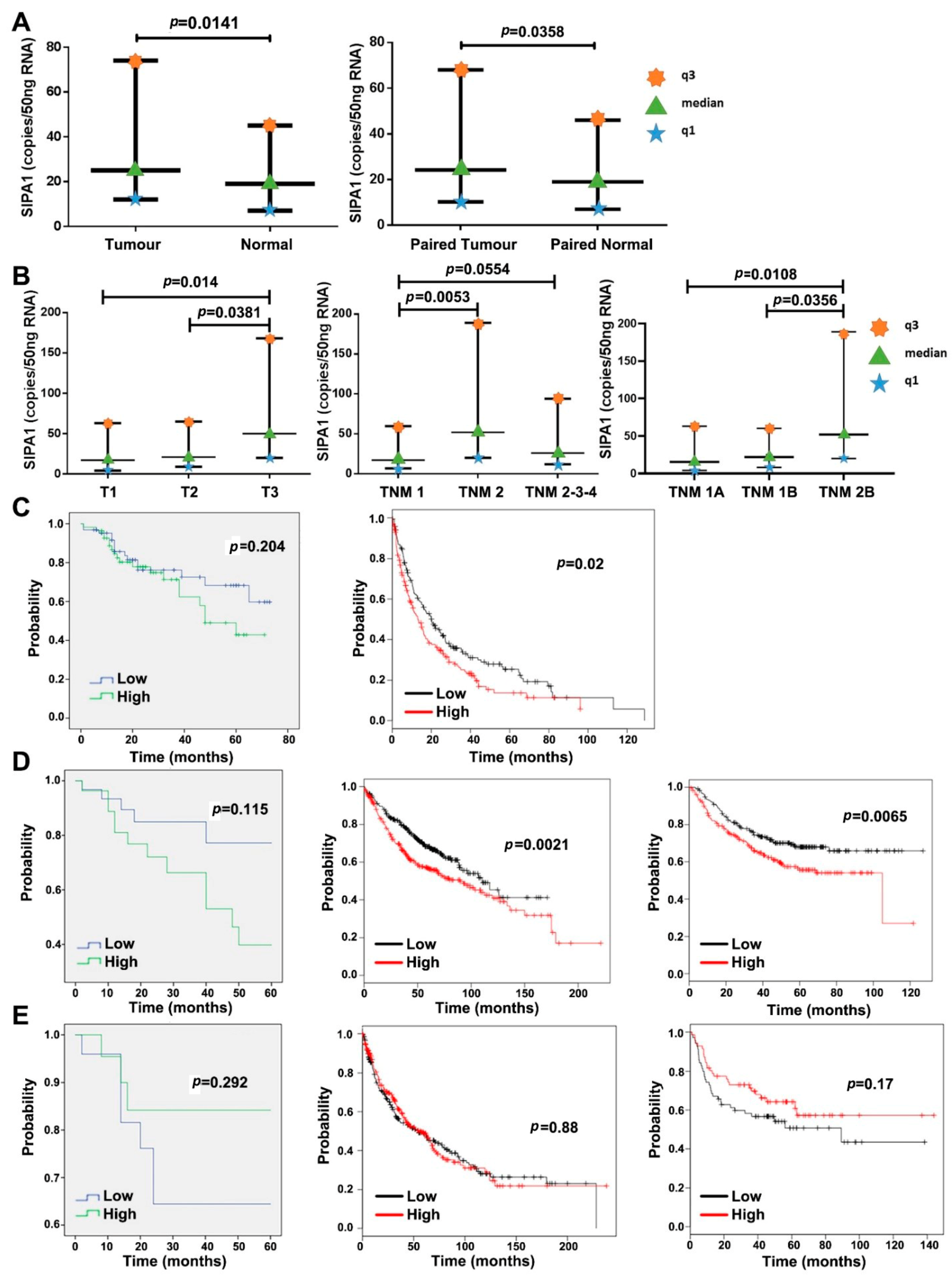 Cancers 13 01747 g001