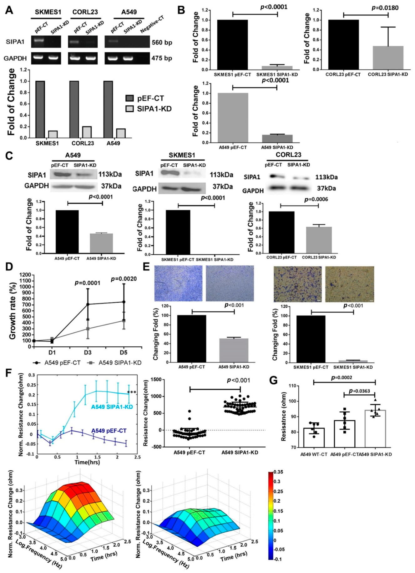 Cancers 13 01747 g003