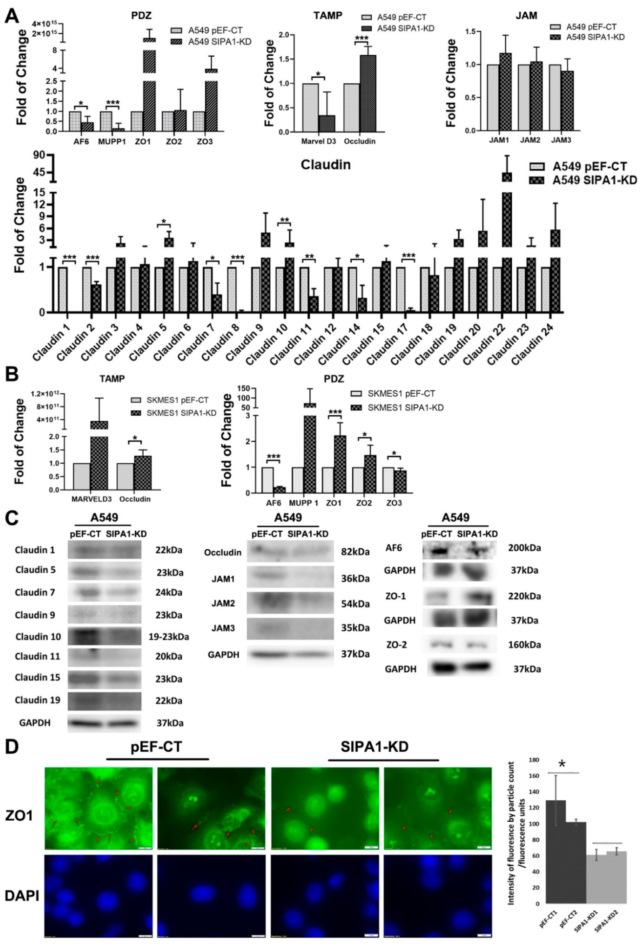 Cancers 13 01747 g004