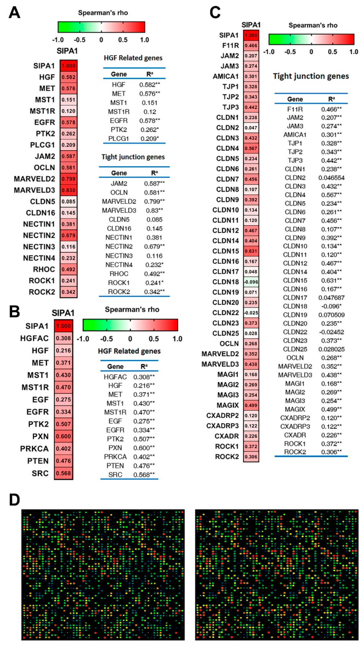 Cancers 13 01747 g005