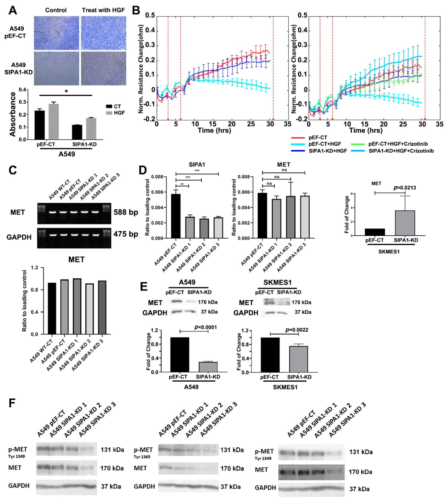 Cancers 13 01747 g006