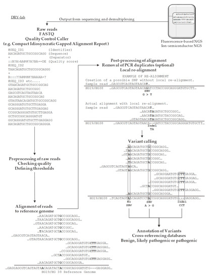 DREAMS: deep read-level error model for sequencing data applied to