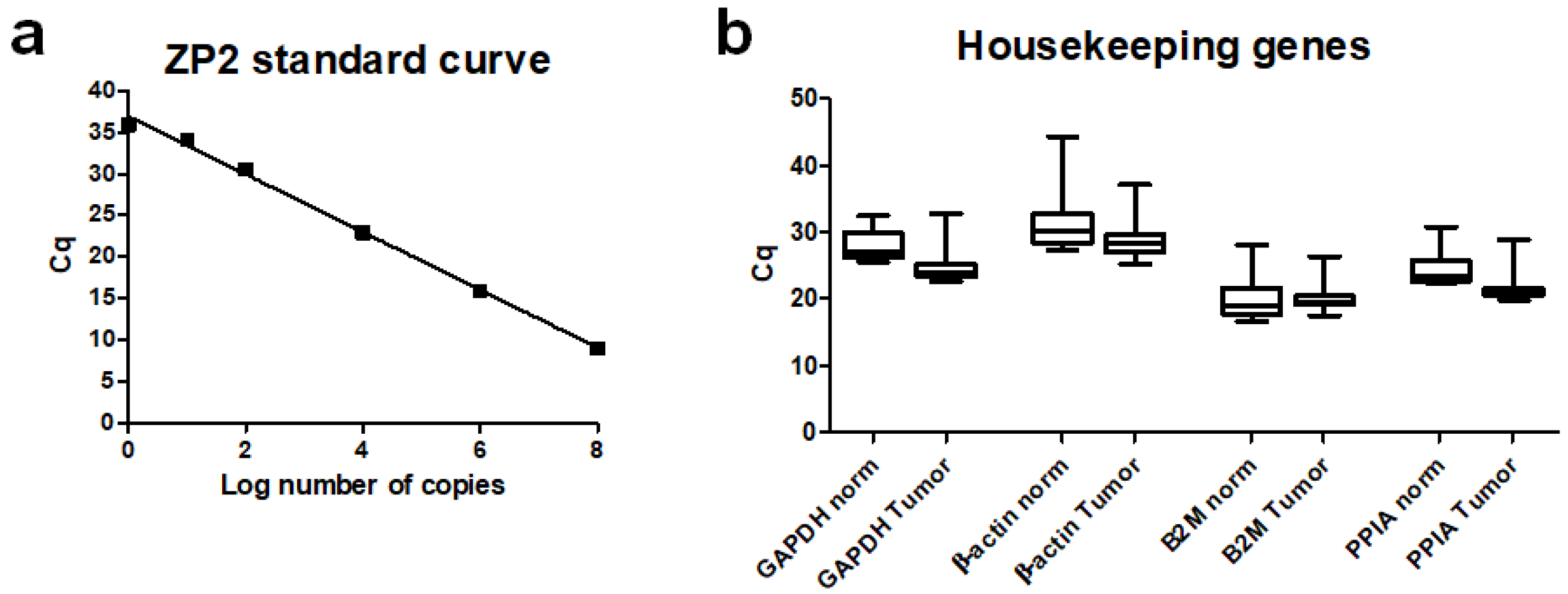 Cancers 13 01759 g001