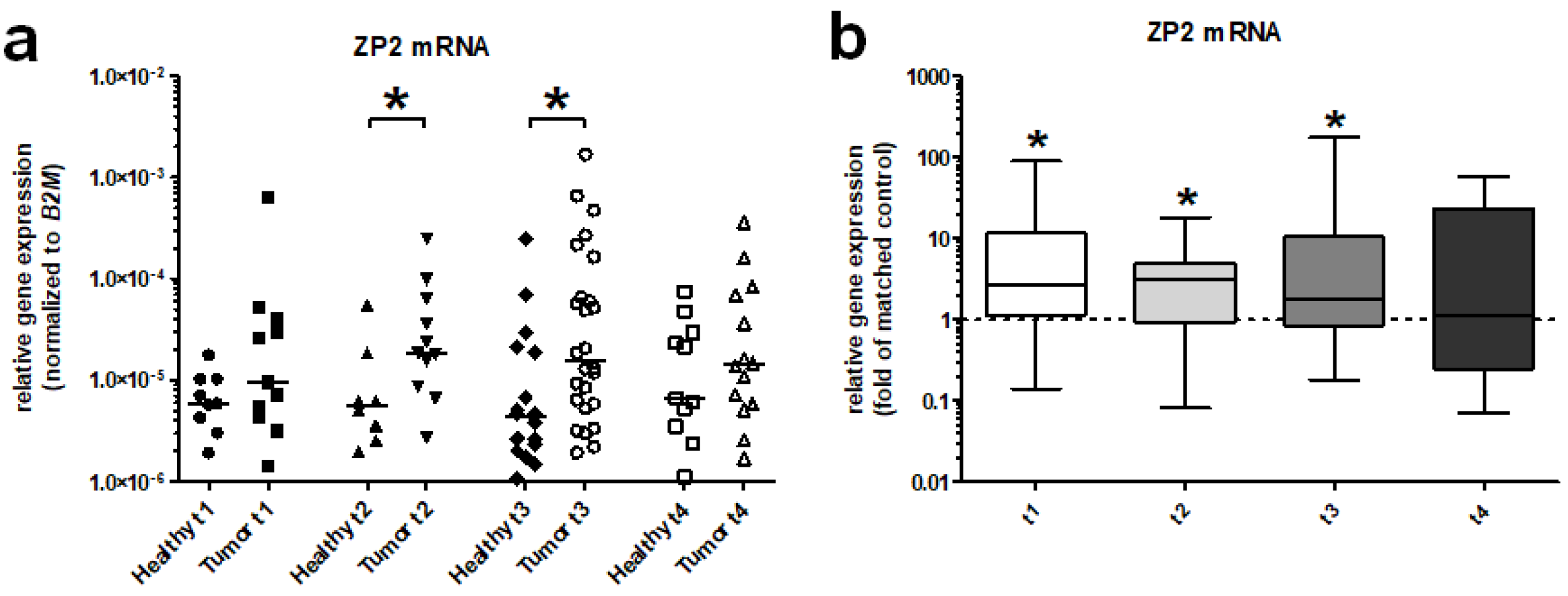Cancers 13 01759 g004