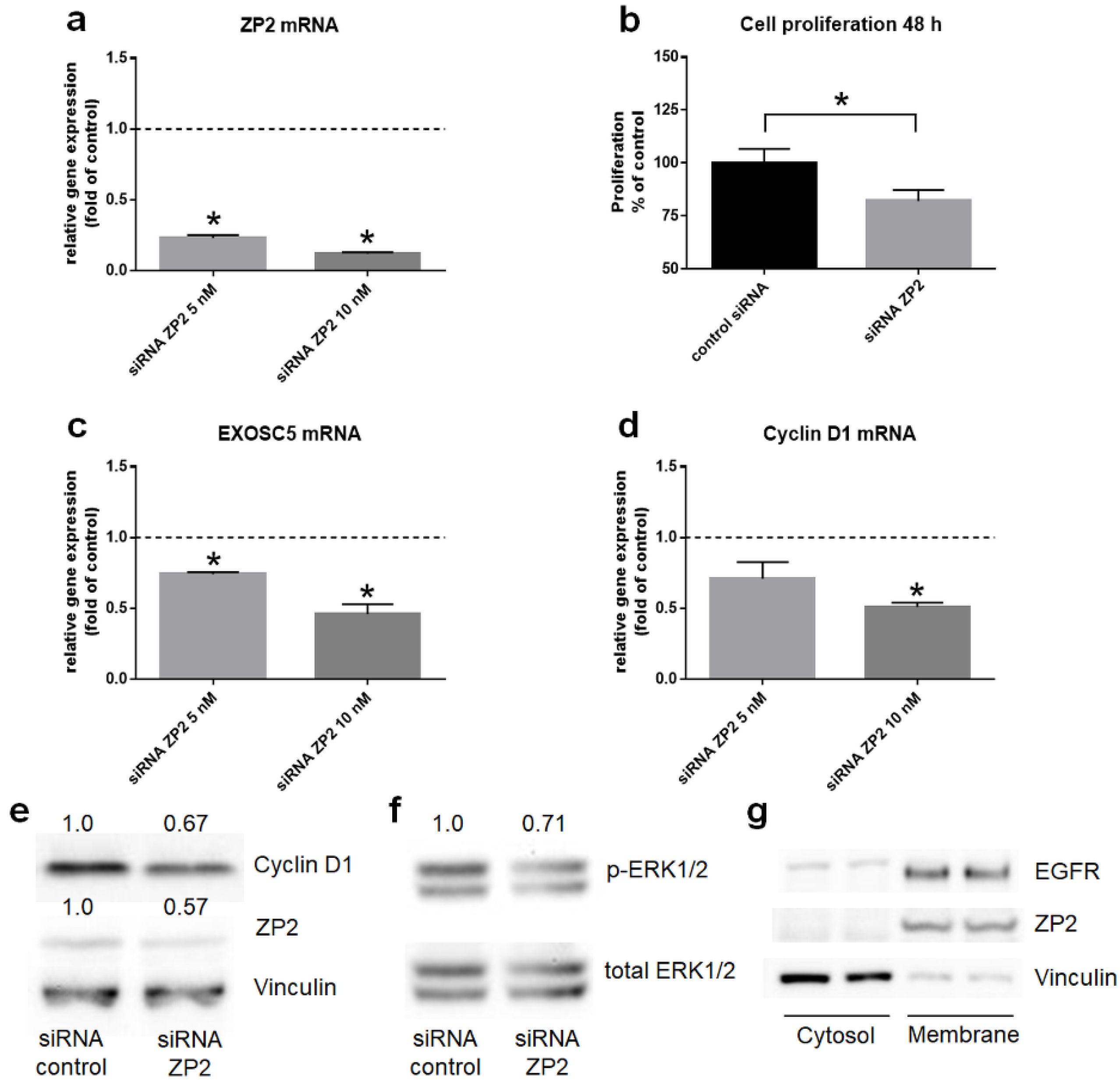 Cancers 13 01759 g006