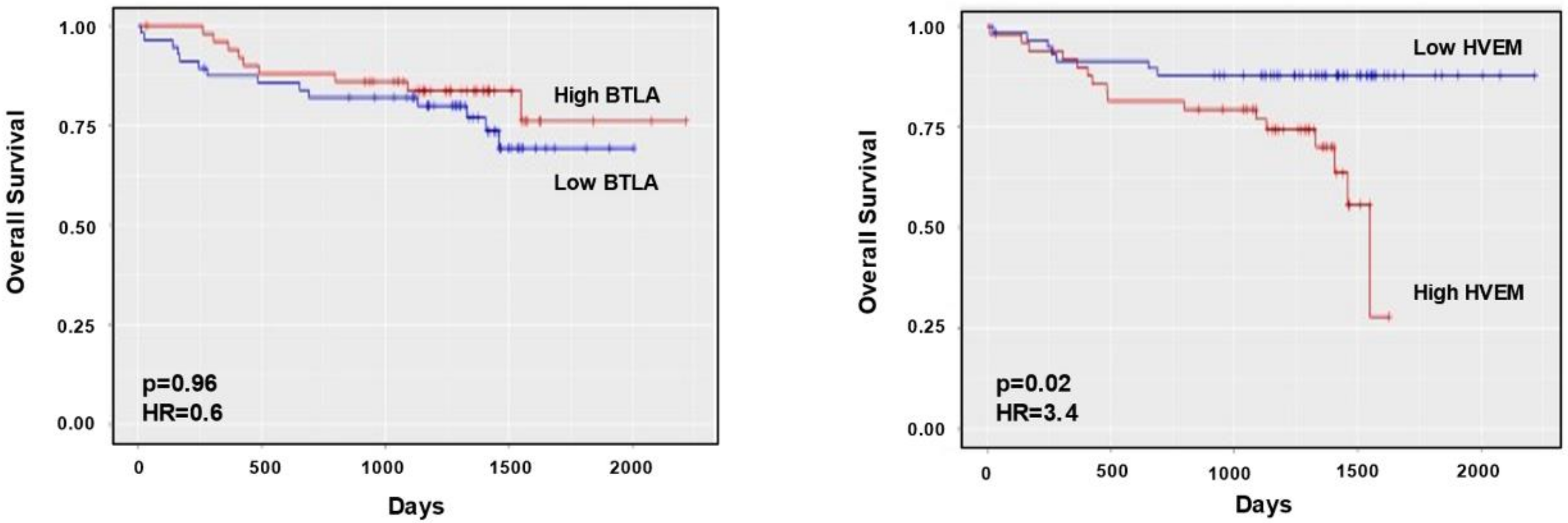 Cancers 13 01766 g003 Cancers 13 01766 g003