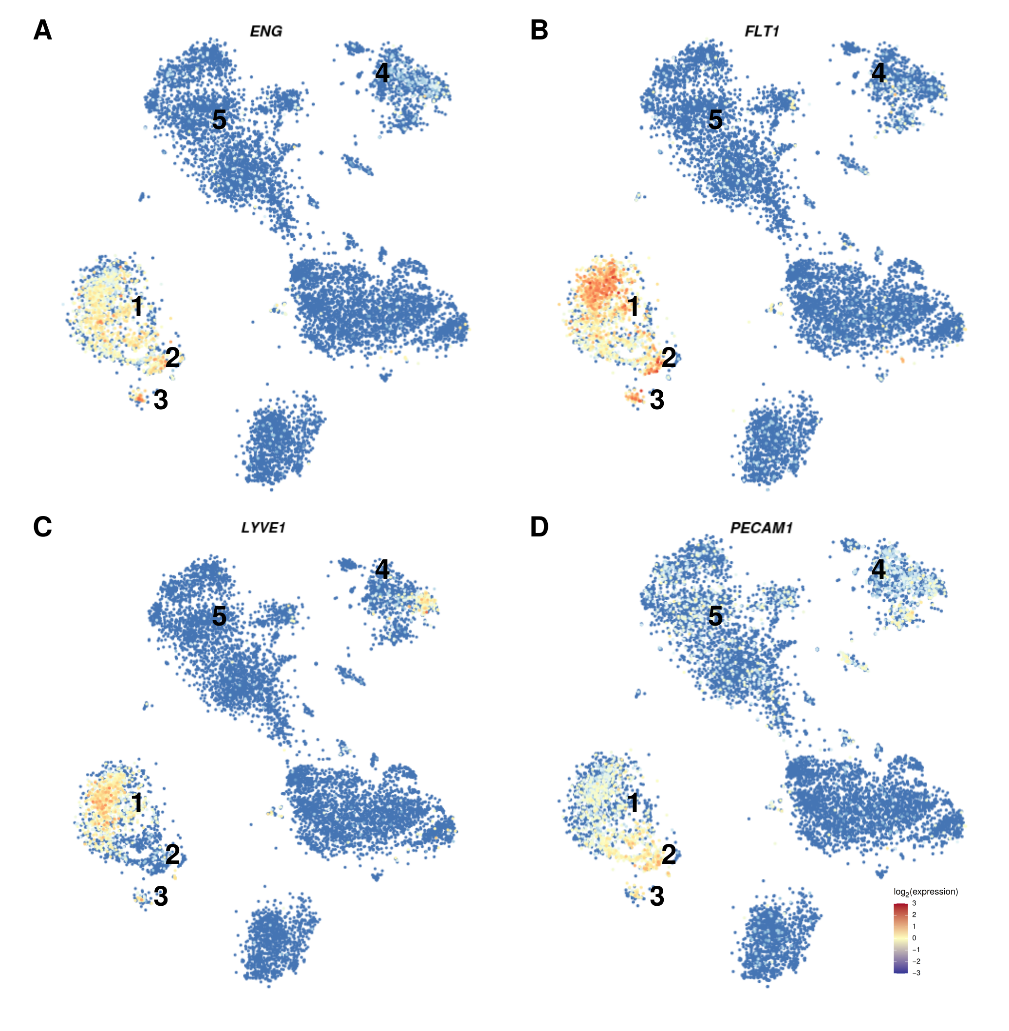 Cancers 13 01768 g003